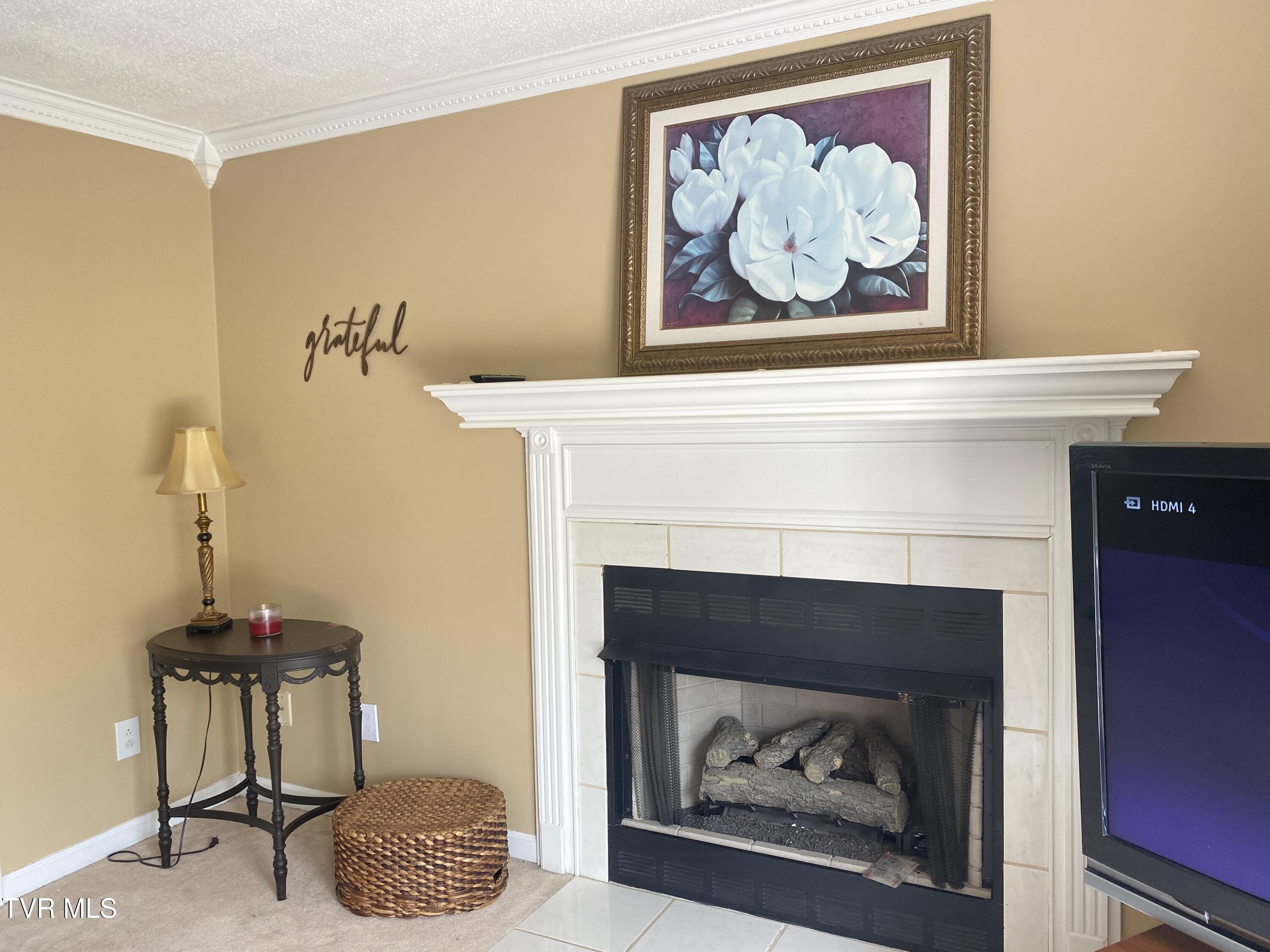 414 Greenbrook Circle, Unicoi, Tennessee image 38