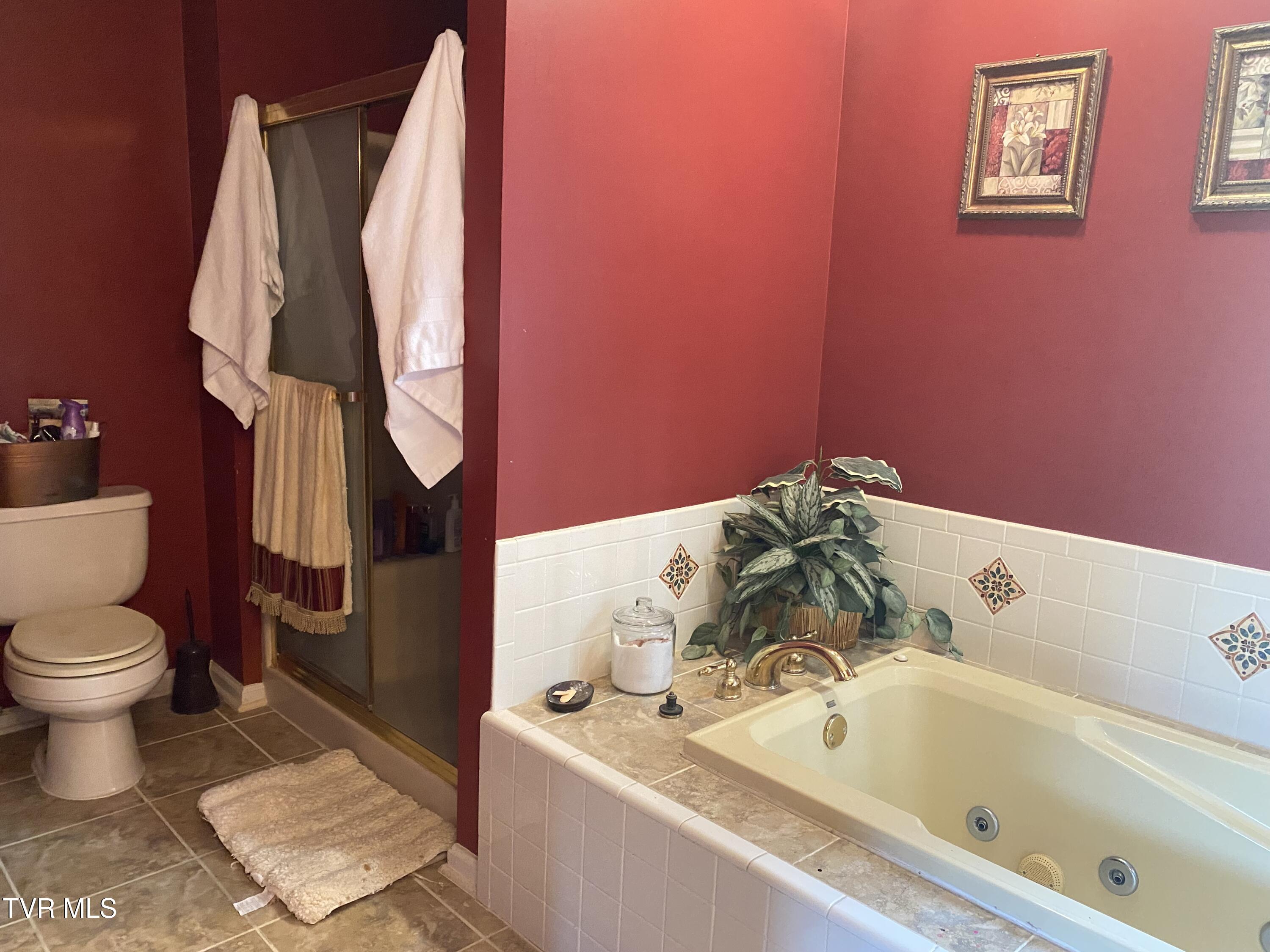 414 Greenbrook Circle, Unicoi, Tennessee image 48