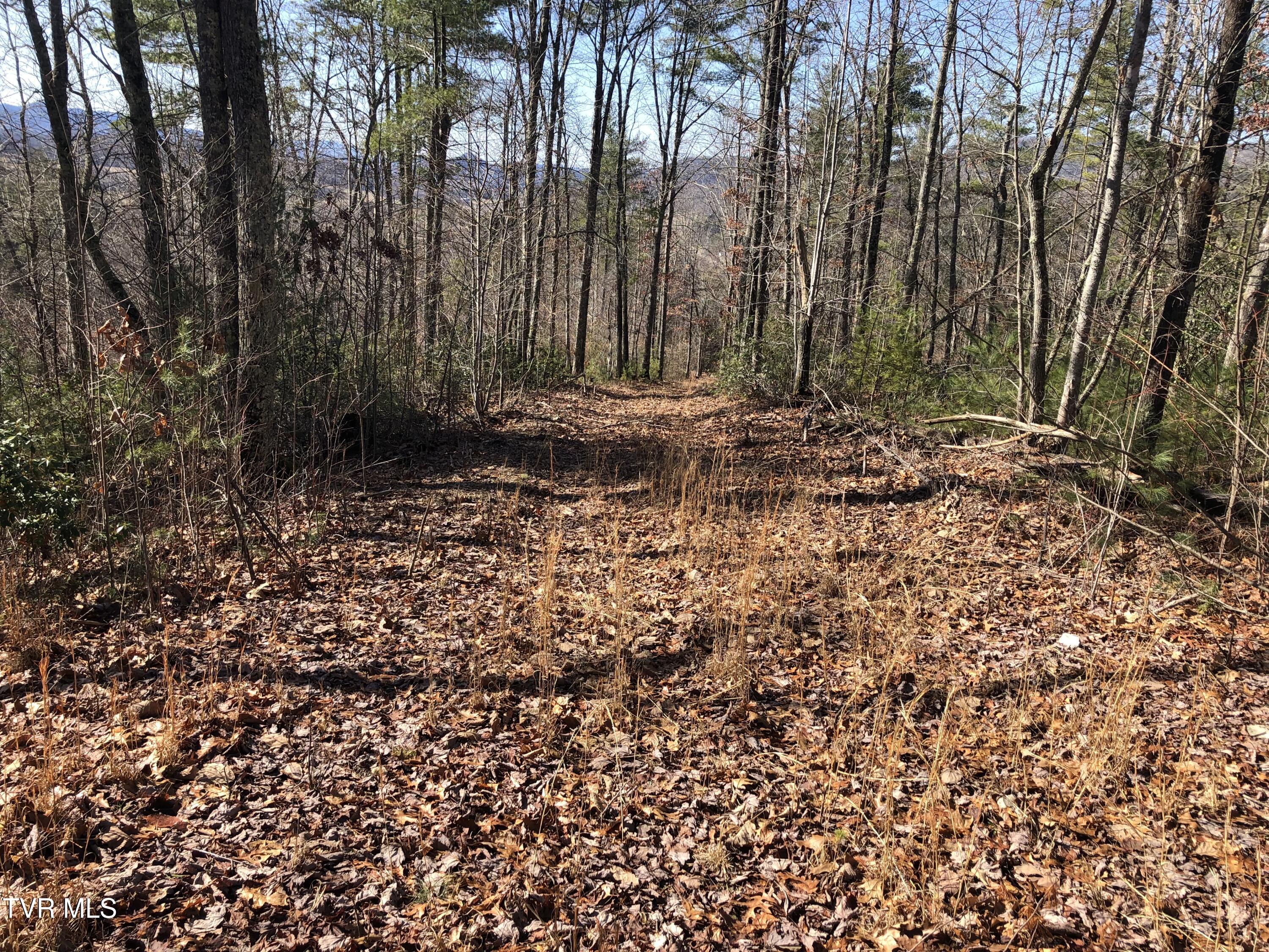 Tbd Rhea Lane, Mountain City, Tennessee image 3
