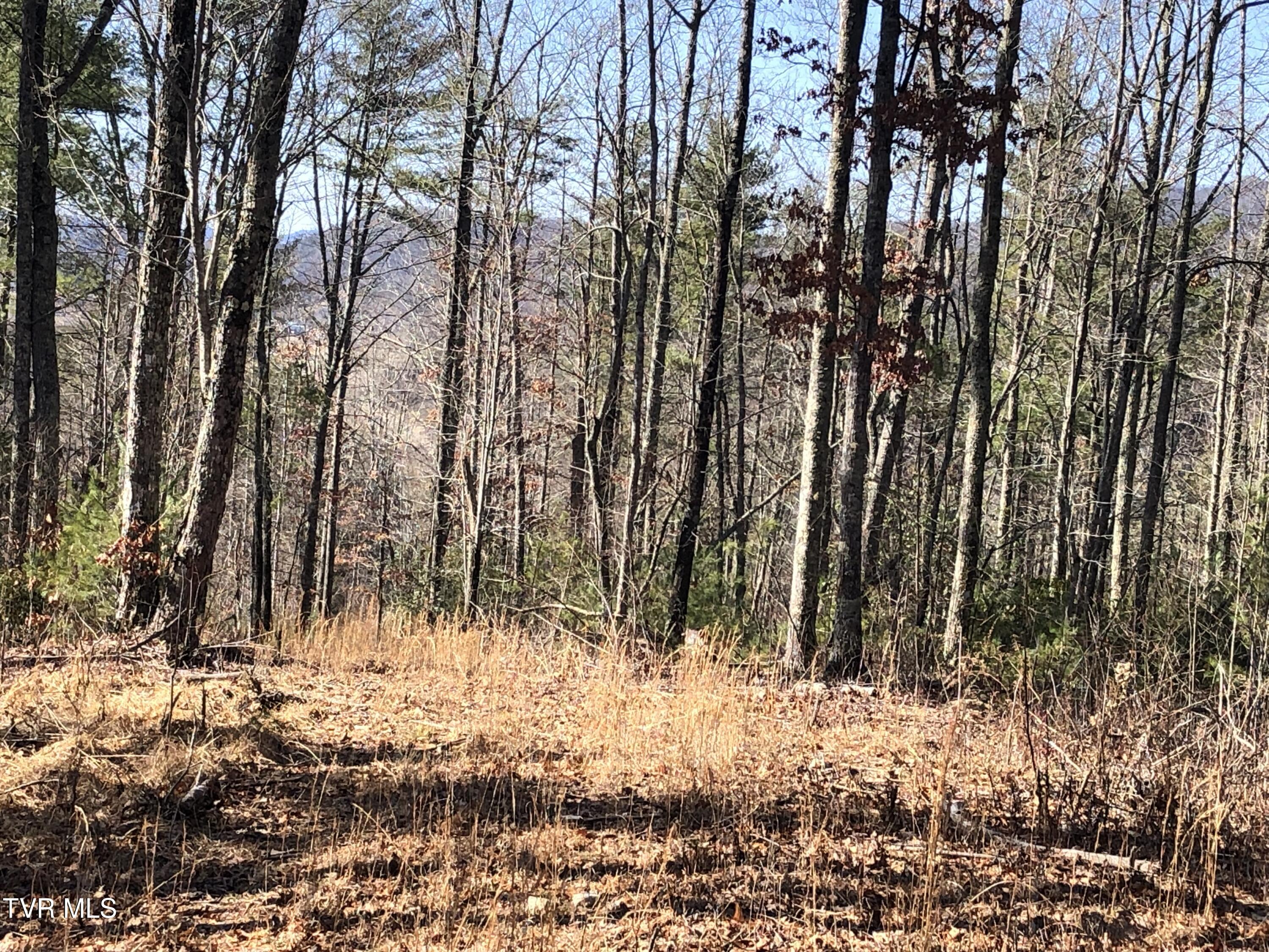 Tbd Rhea Lane, Mountain City, Tennessee image 19