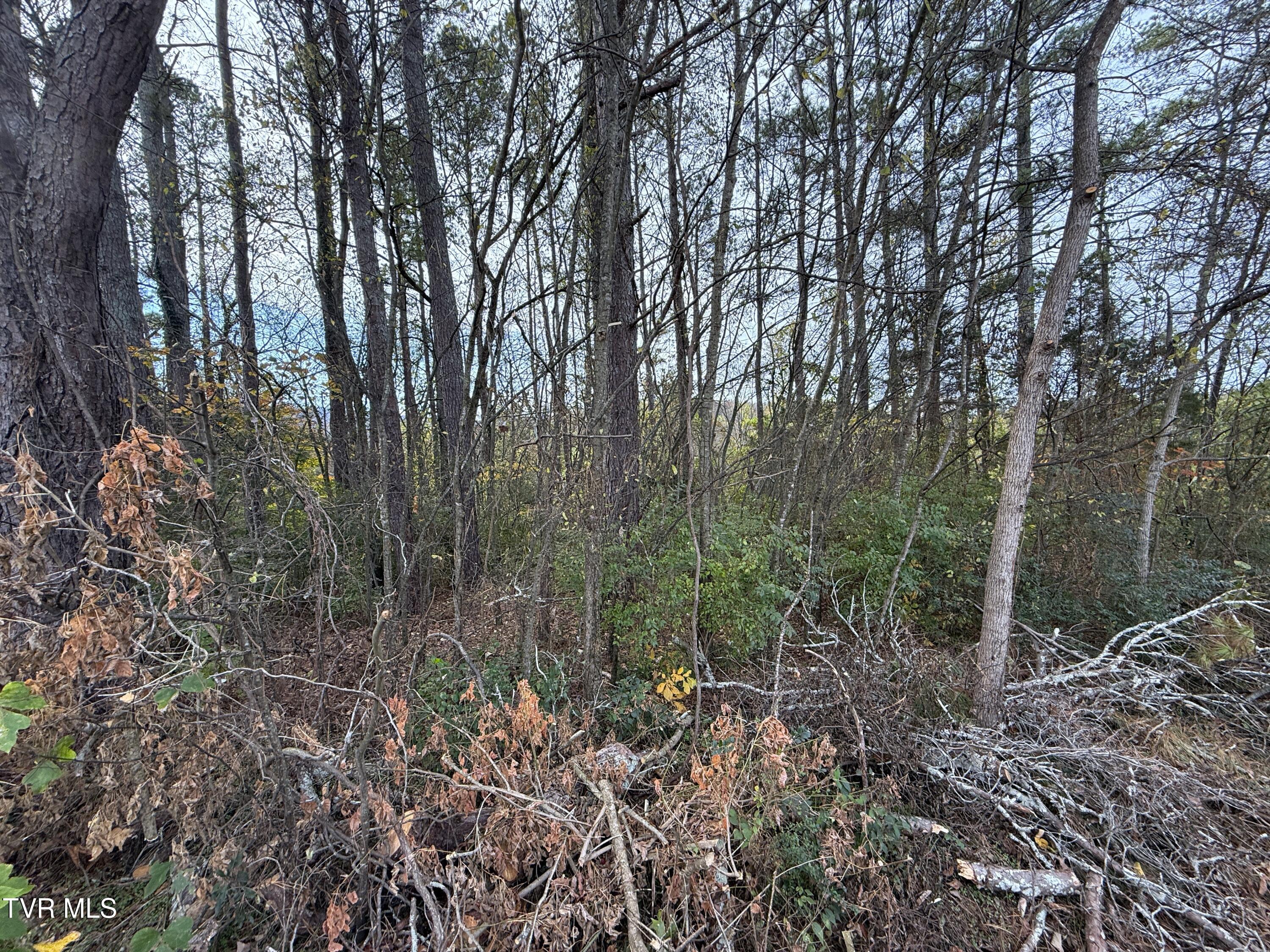 1933 Edwina-bridgeport Road, Newport, Tennessee image 7