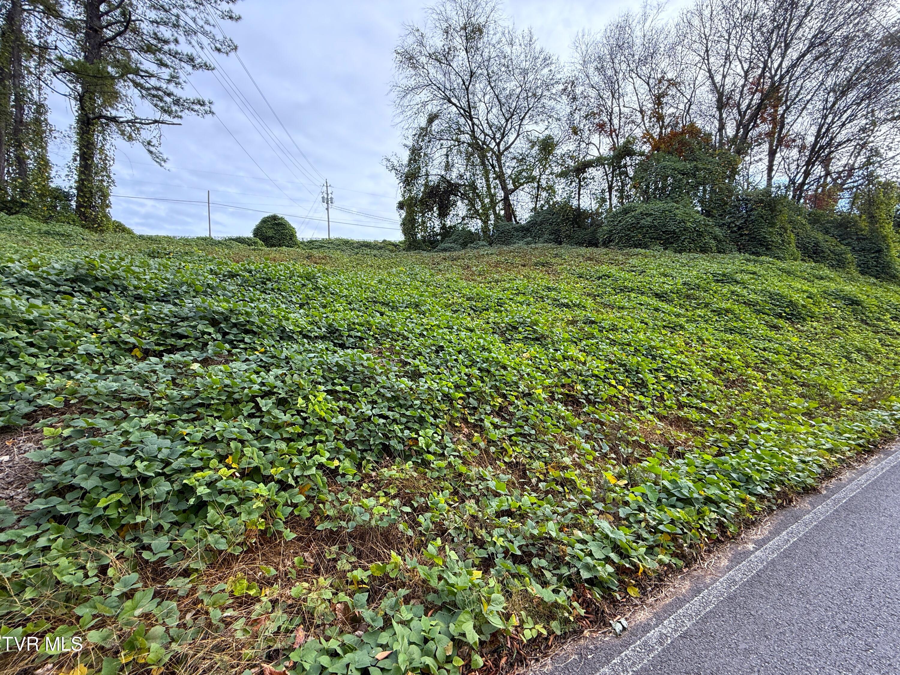 1933 Edwina-bridgeport Road, Newport, Tennessee image 1