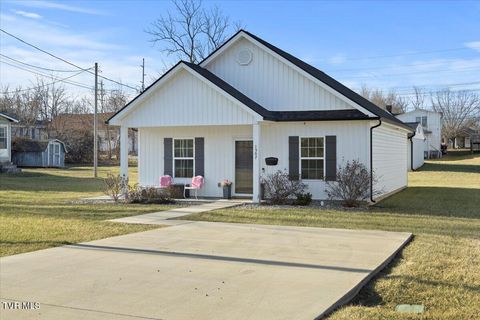 Photo of 1507 Millard Street, Johnson City, TN 37601 (MLS # 9989799)