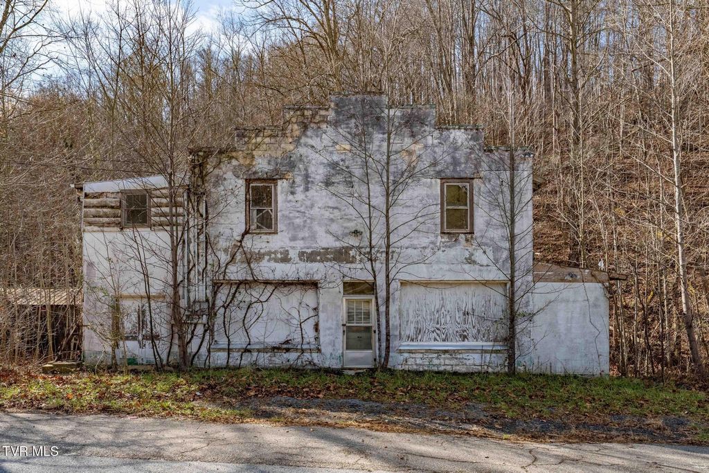 Photo of 6194 Highway 19-E, Hampton, TN 37658 (MLS # 9988740)