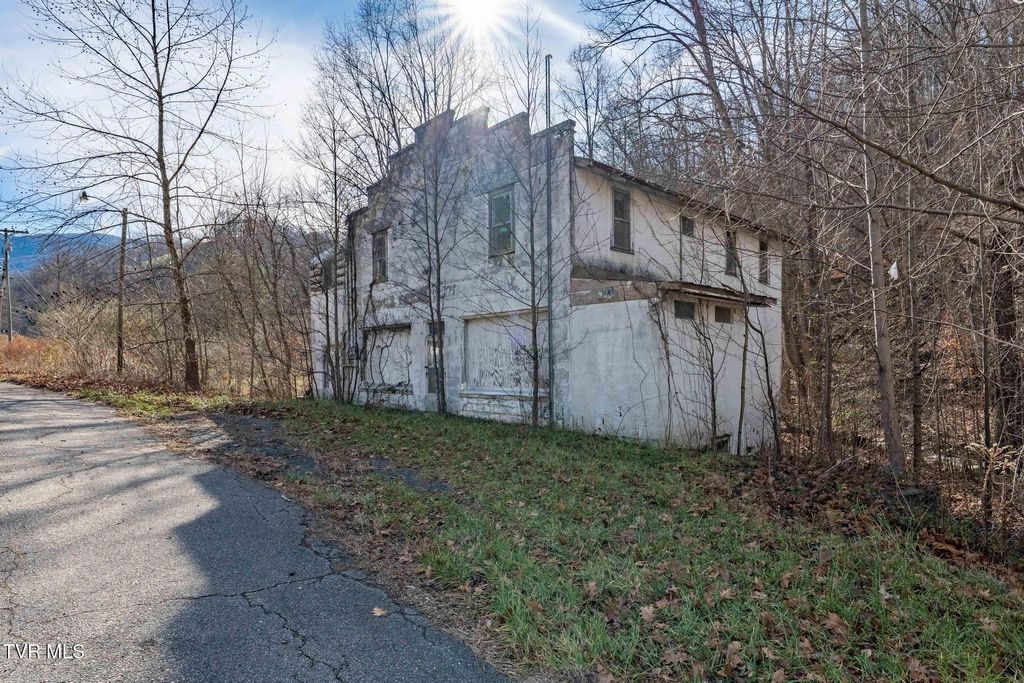 Photo of 6194 Highway 19-E, Hampton, TN 37658 (MLS # 9988740)