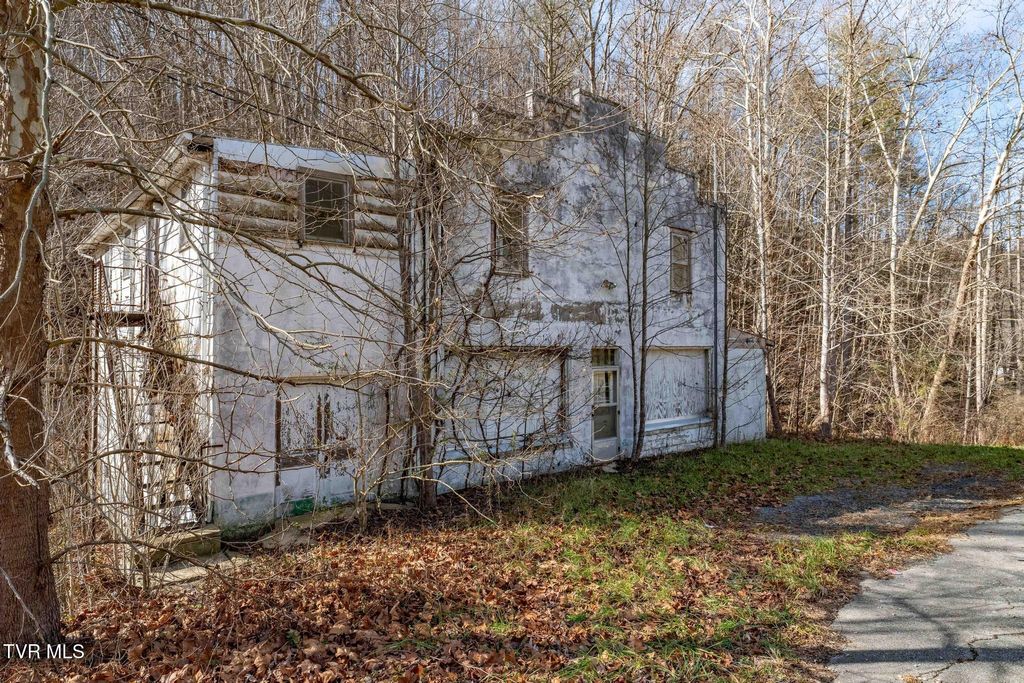 Photo of 6194 Highway 19-E, Hampton, TN 37658 (MLS # 9988740)