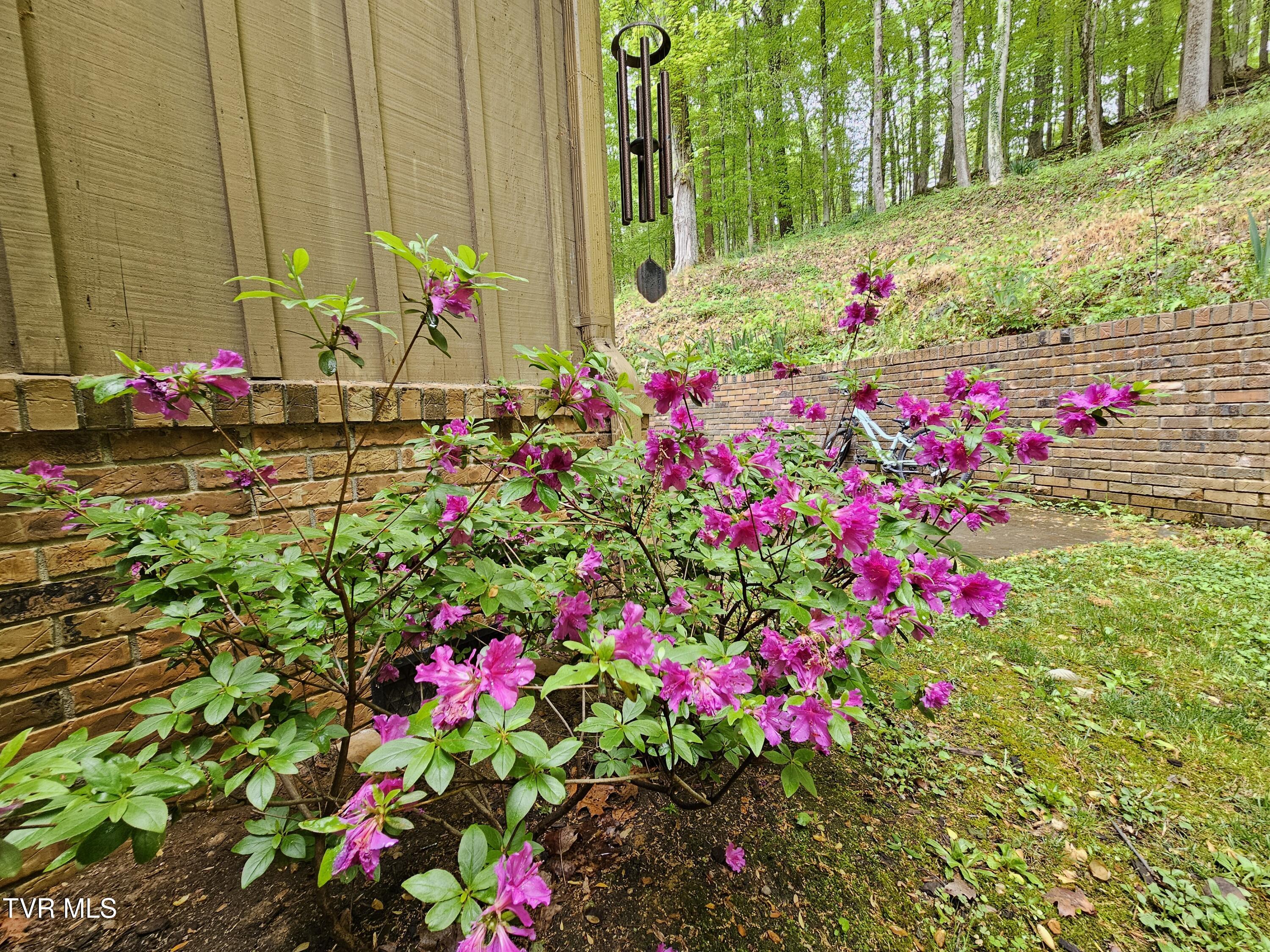 10 Tallapoosa Road, Johnson City, Tennessee image 14