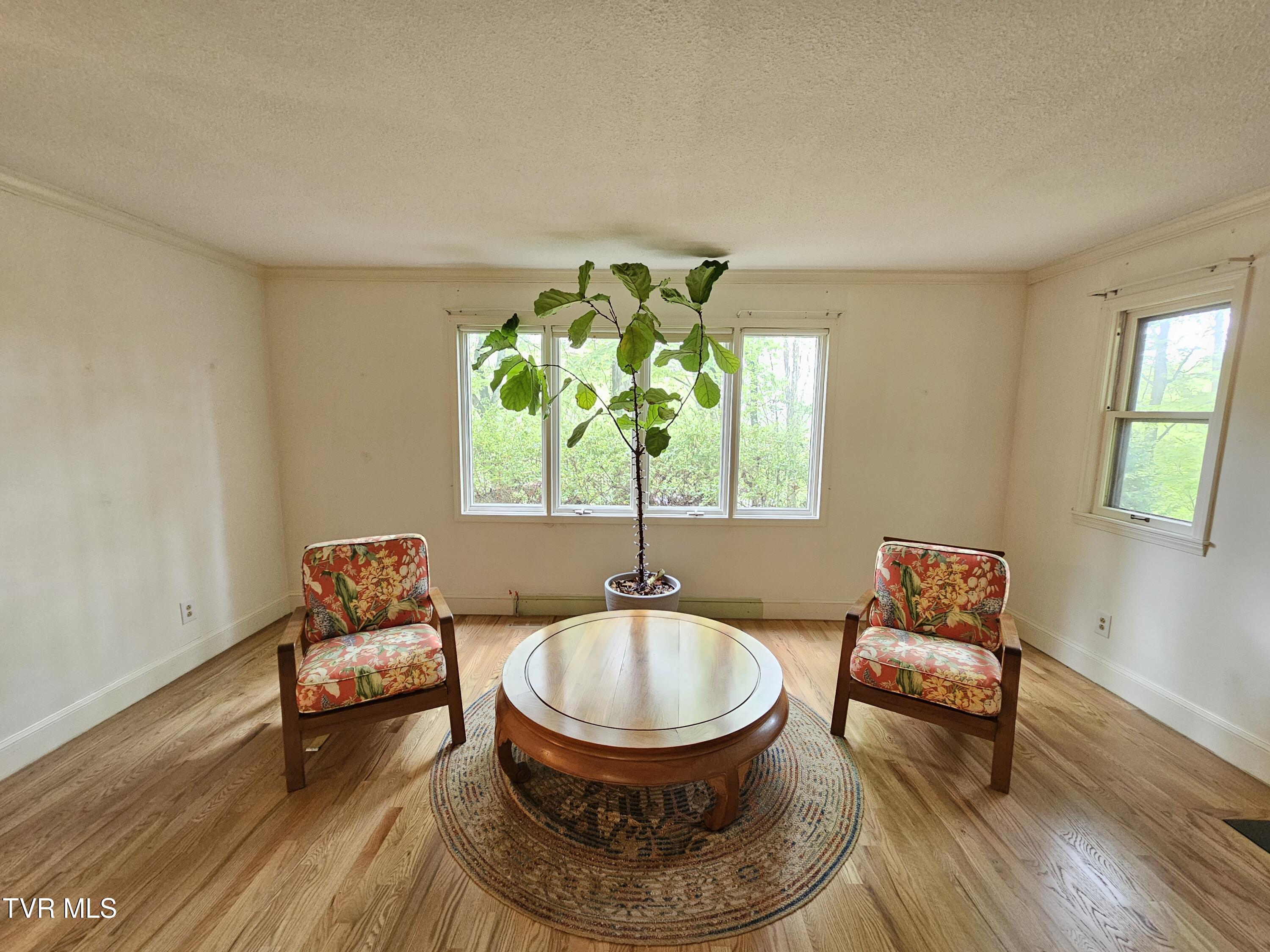 10 Tallapoosa Road, Johnson City, Tennessee image 19