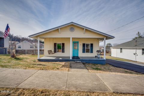 Photo of 409 Roan Street, Elizabethton, TN 37643 (MLS # 9990709)