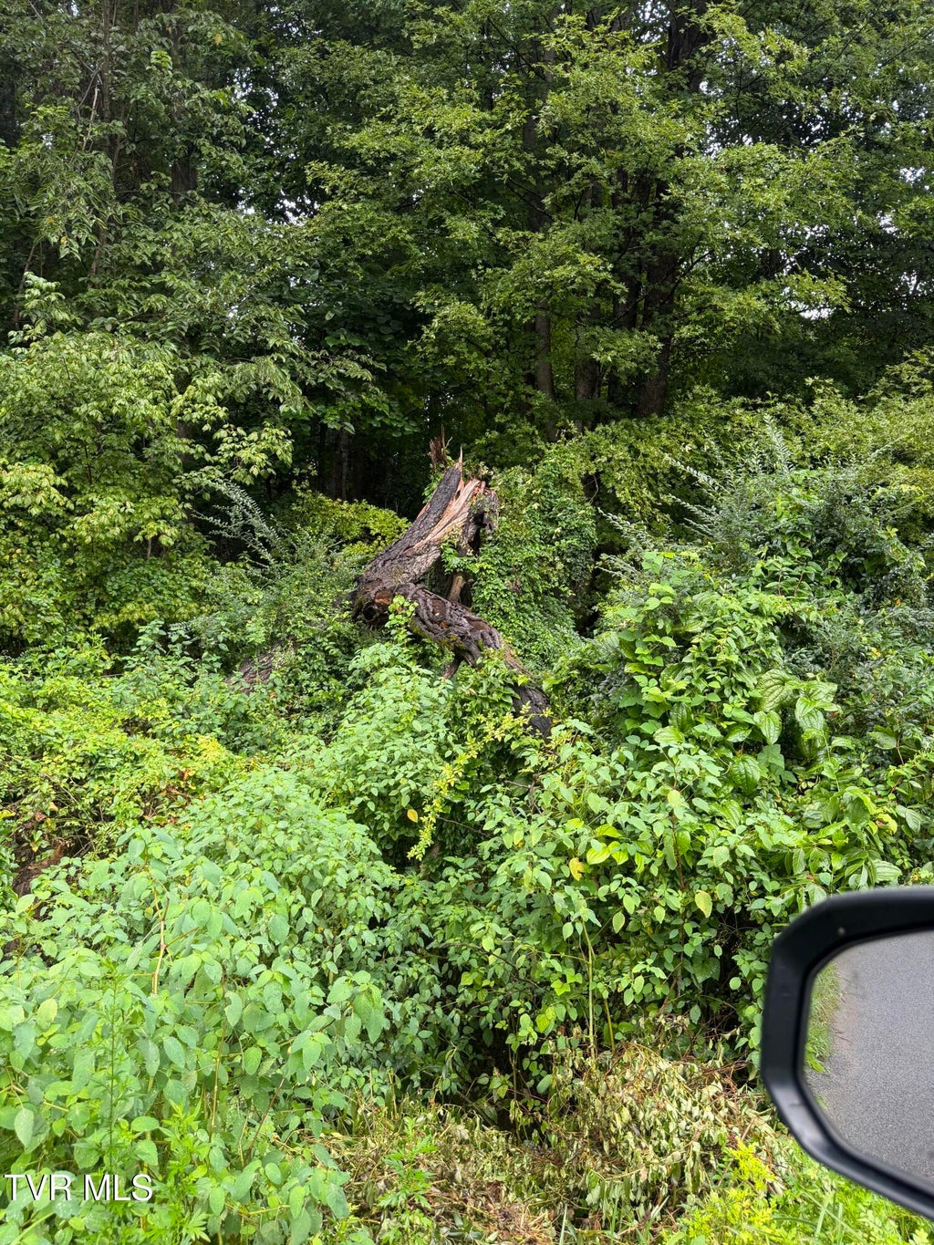 Photo of 110 Daddy Moore Road, Unicoi, TN 37692 (MLS # 9999912)