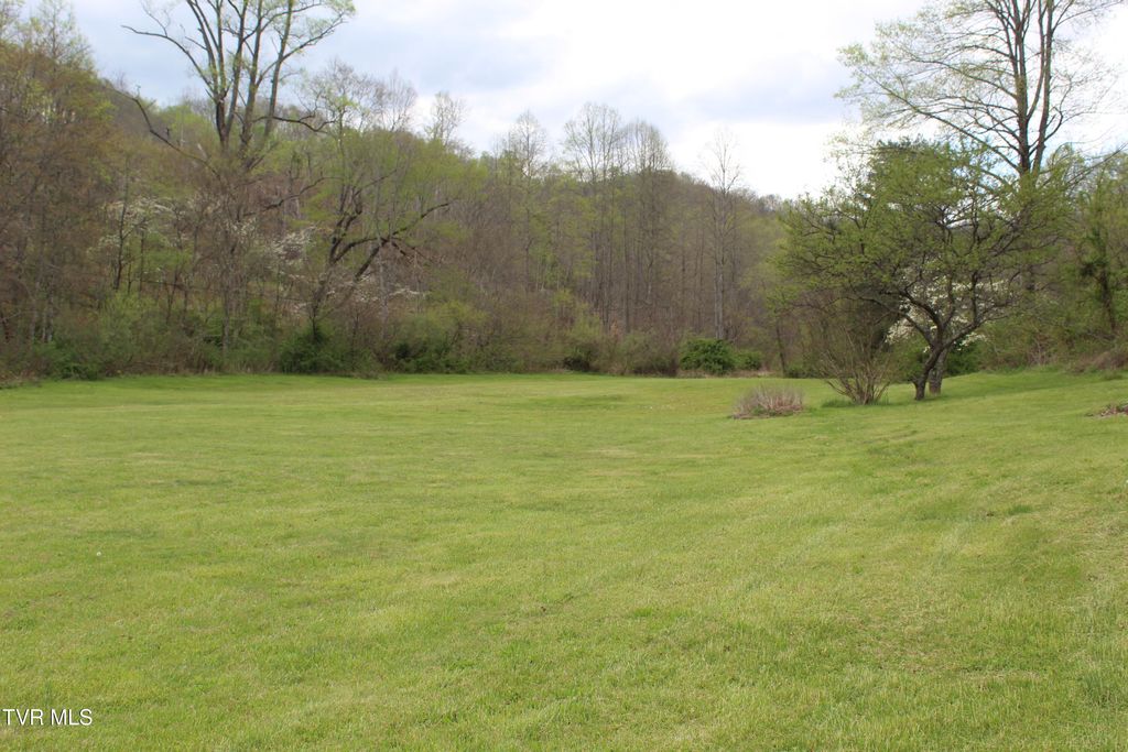 Photo of 45984550 Reeds Creek Road, Keokee, VA 24265 (MLS # 9993966)
