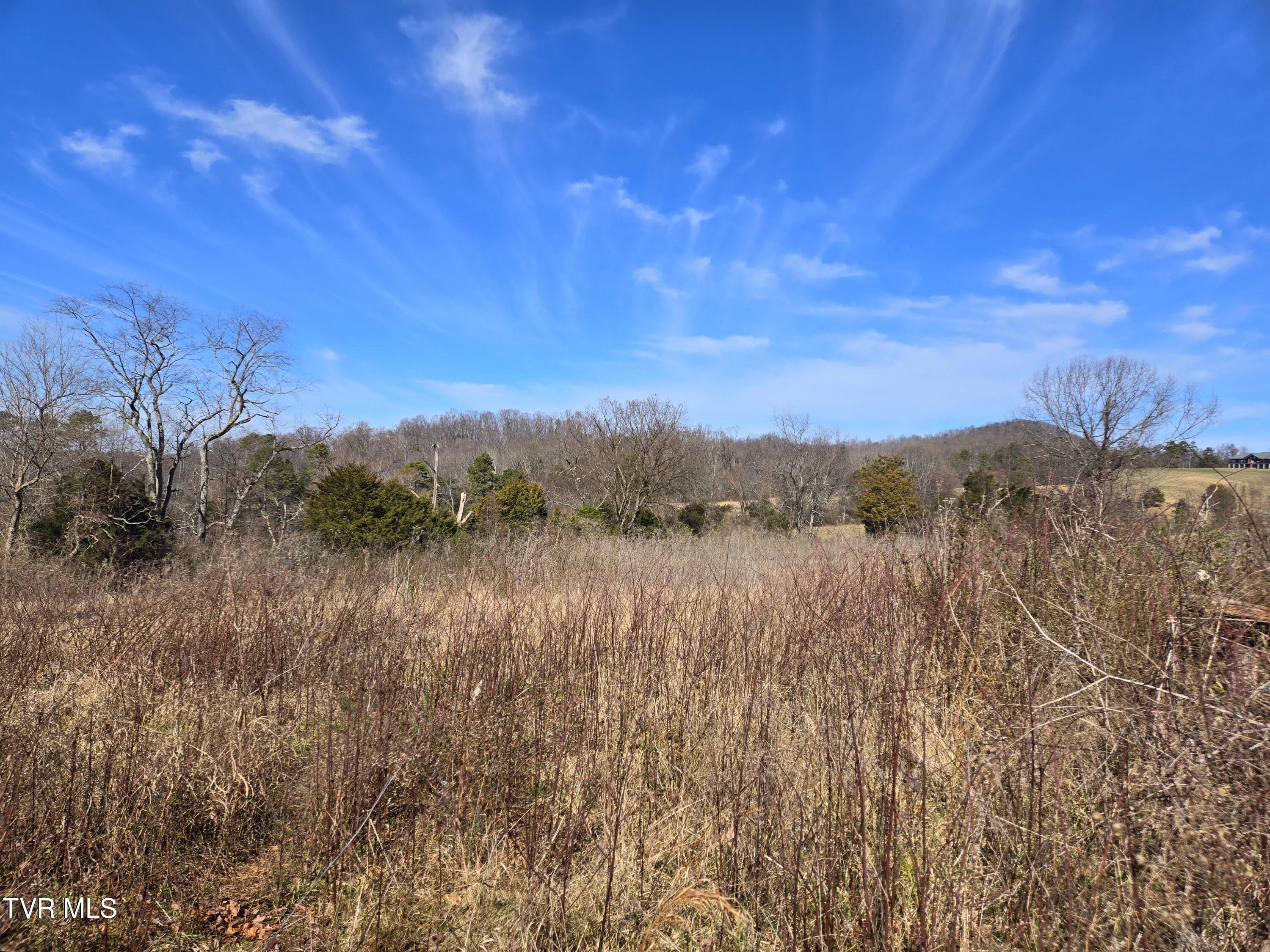 5 Acre Old Lacy Hollow Road, Elizabethton, Tennessee image 27