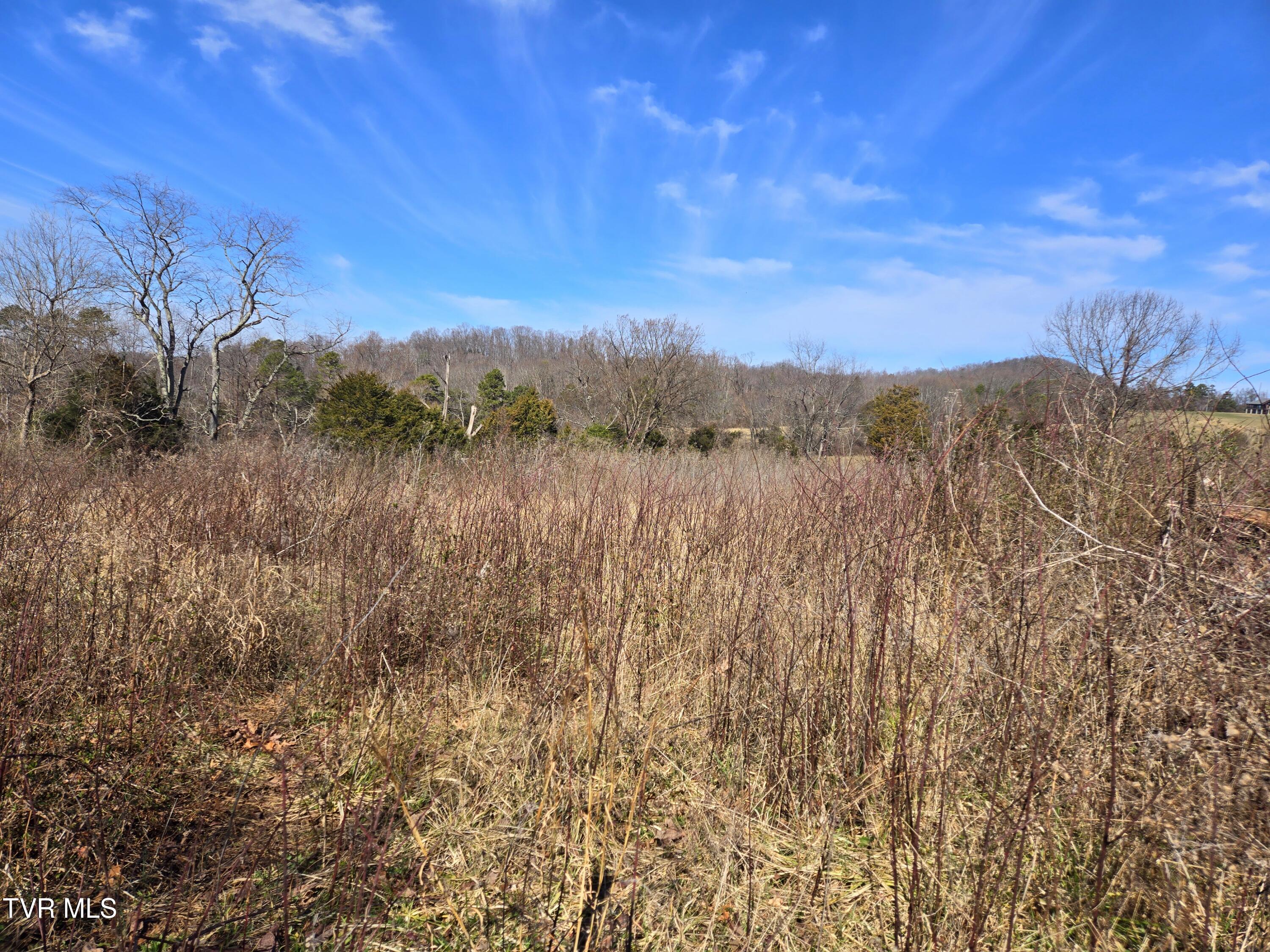 5 Acre Old Lacy Hollow Road, Elizabethton, Tennessee image 28
