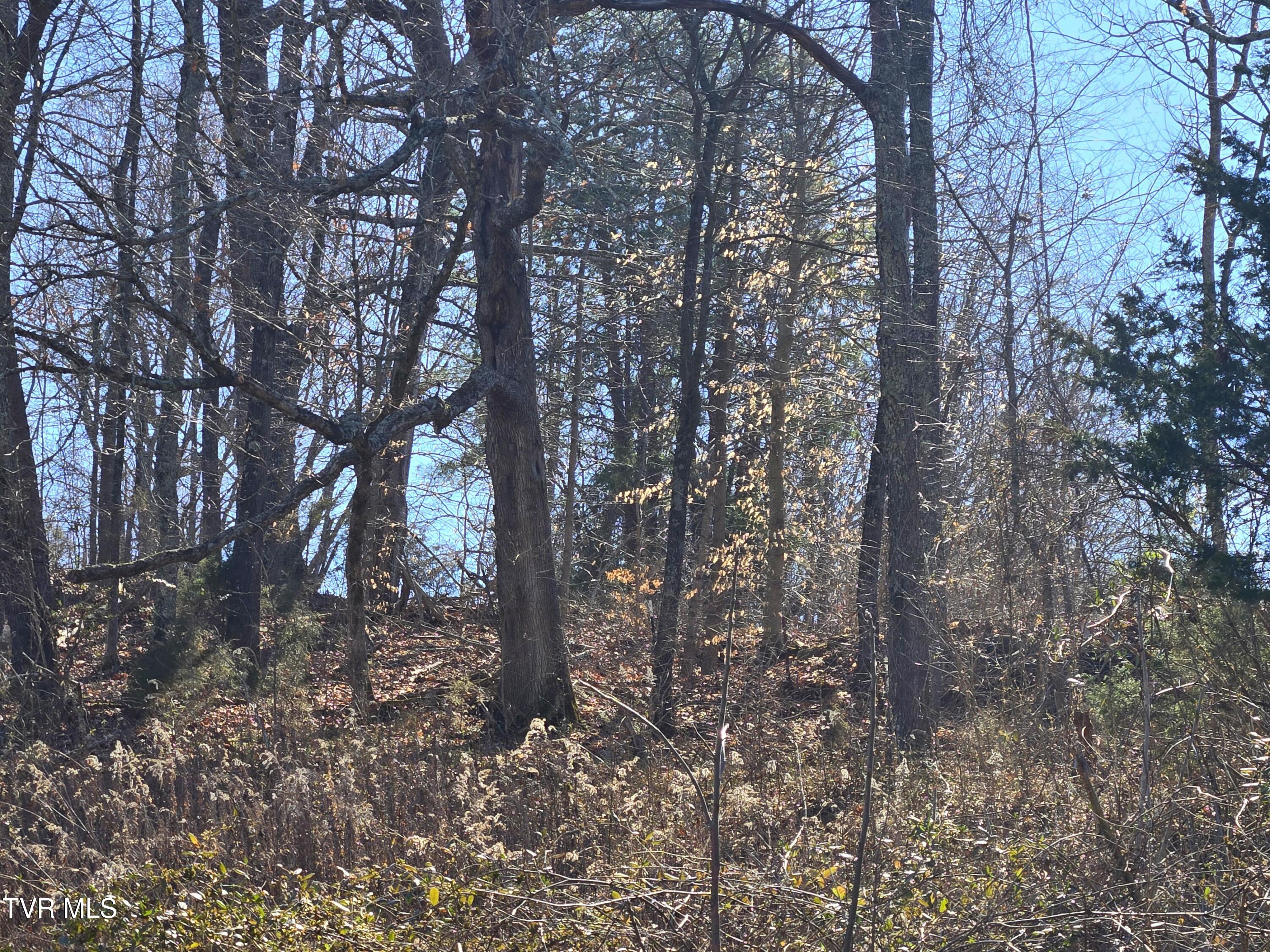 5 Acre Old Lacy Hollow Road, Elizabethton, Tennessee image 17