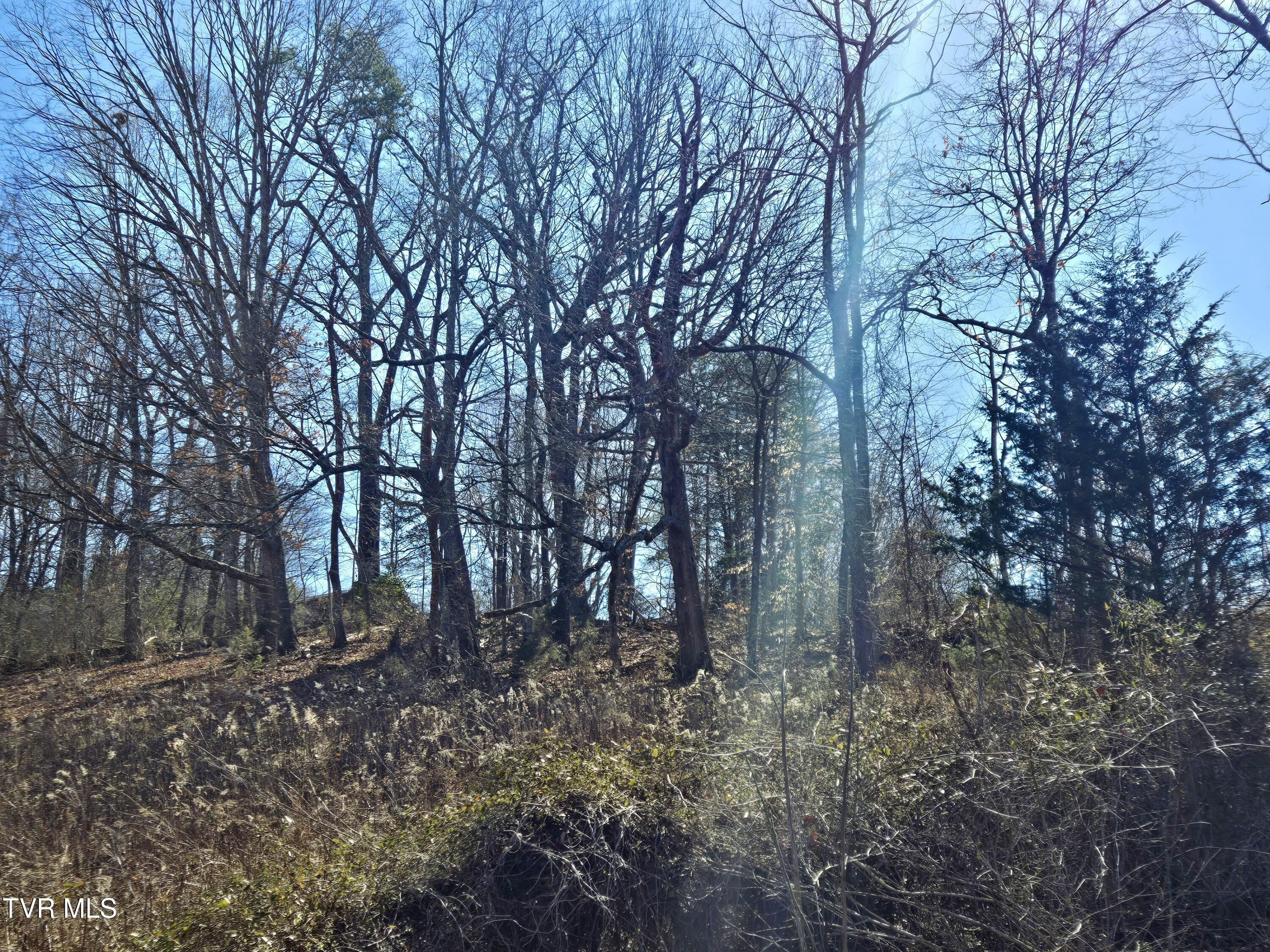 5 Acre Old Lacy Hollow Road, Elizabethton, Tennessee image 18