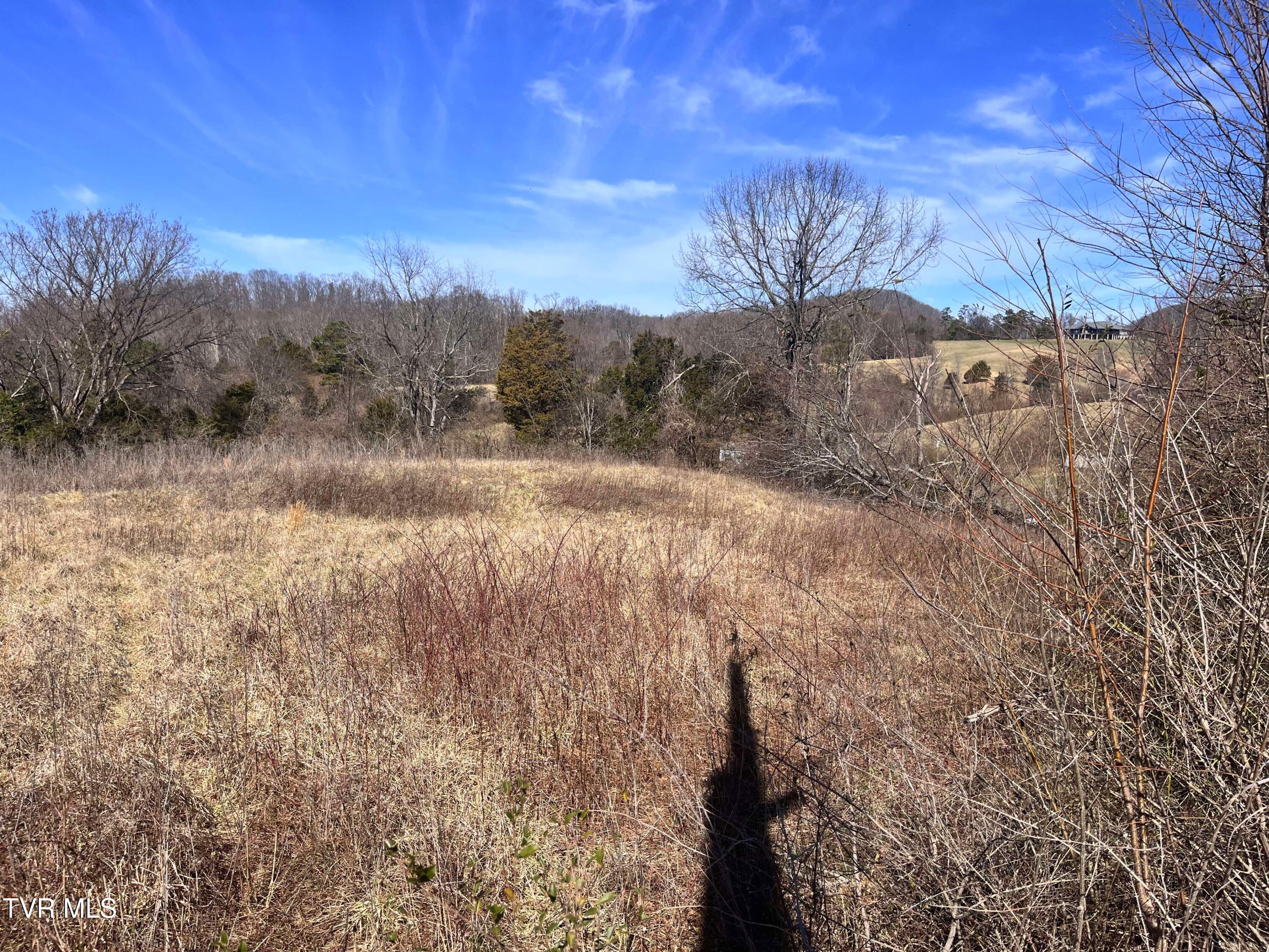 5 Acre Old Lacy Hollow Road, Elizabethton, Tennessee image 31