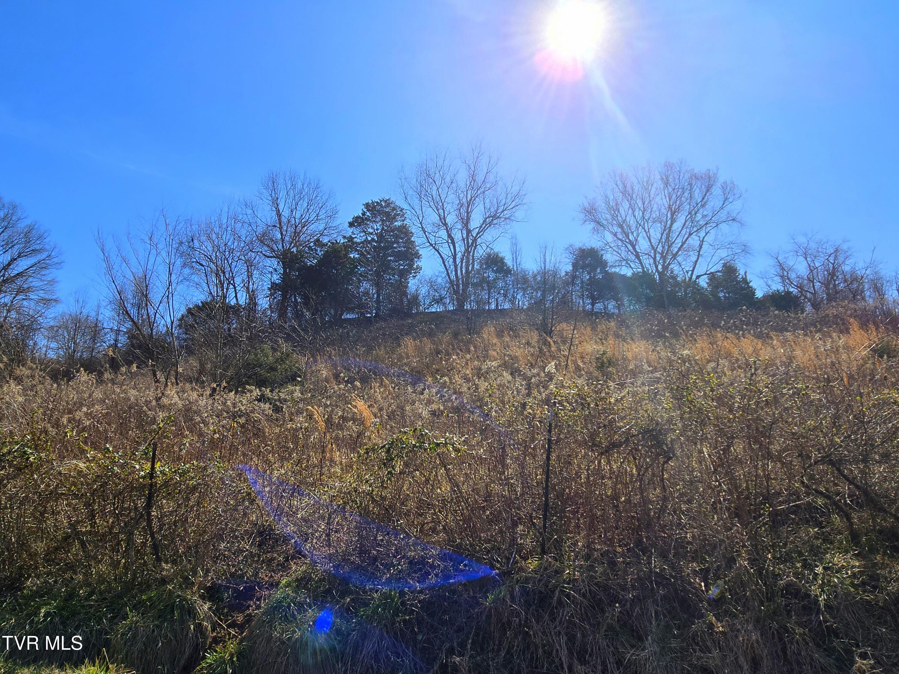 5 Acre Old Lacy Hollow Road, Elizabethton, Tennessee image 21