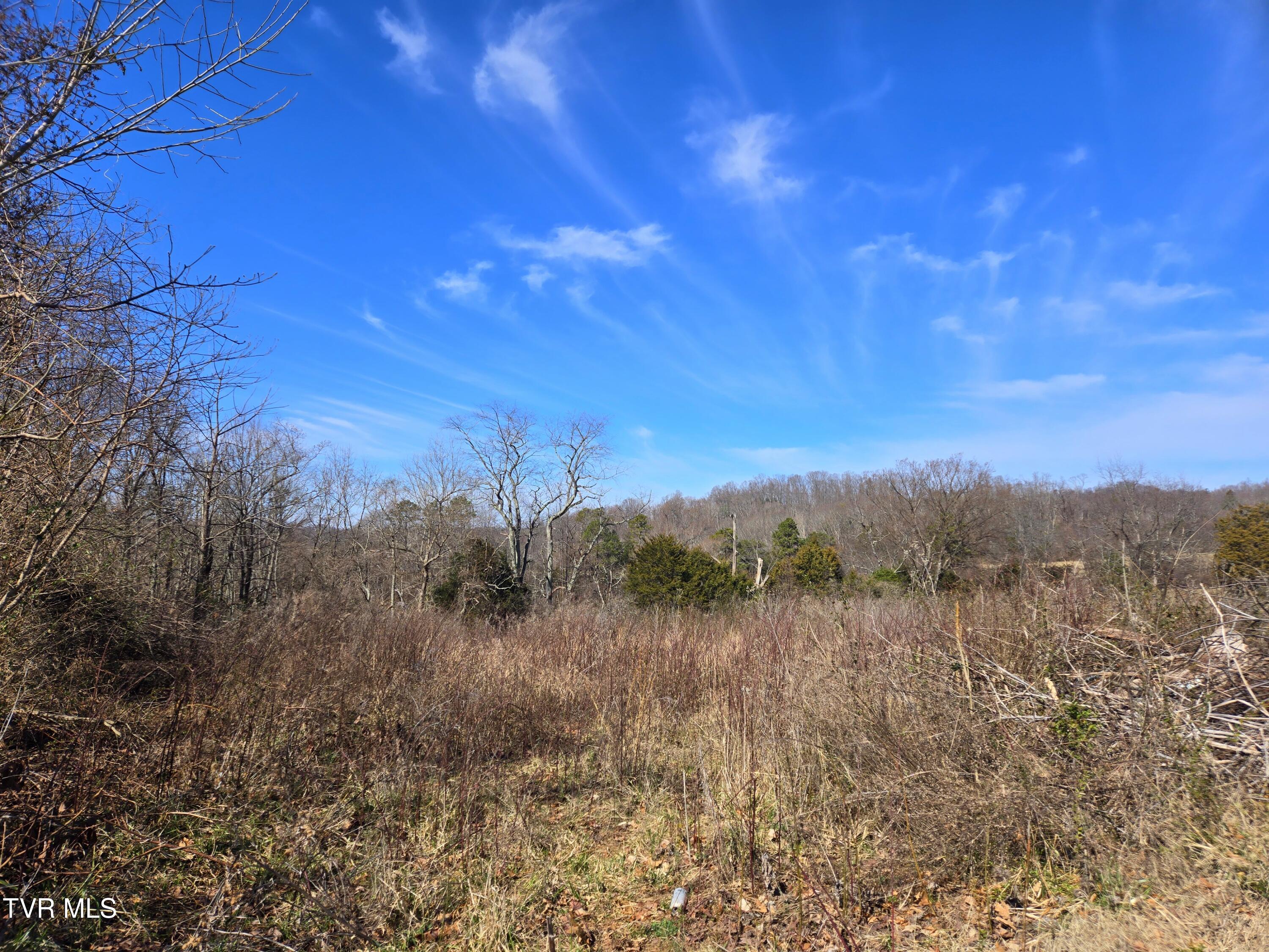 5 Acre Old Lacy Hollow Road, Elizabethton, Tennessee image 26