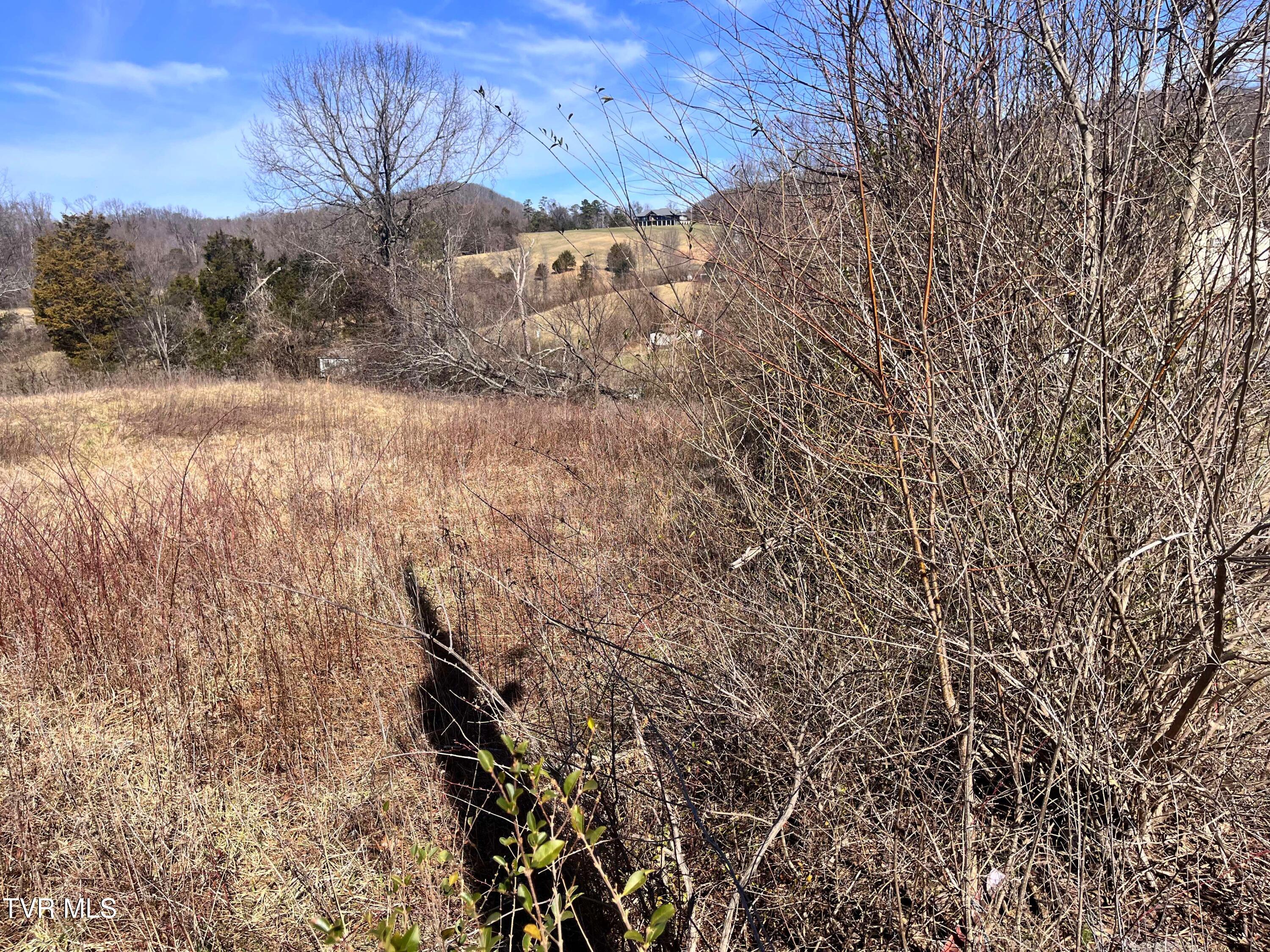 5 Acre Old Lacy Hollow Road, Elizabethton, Tennessee image 32