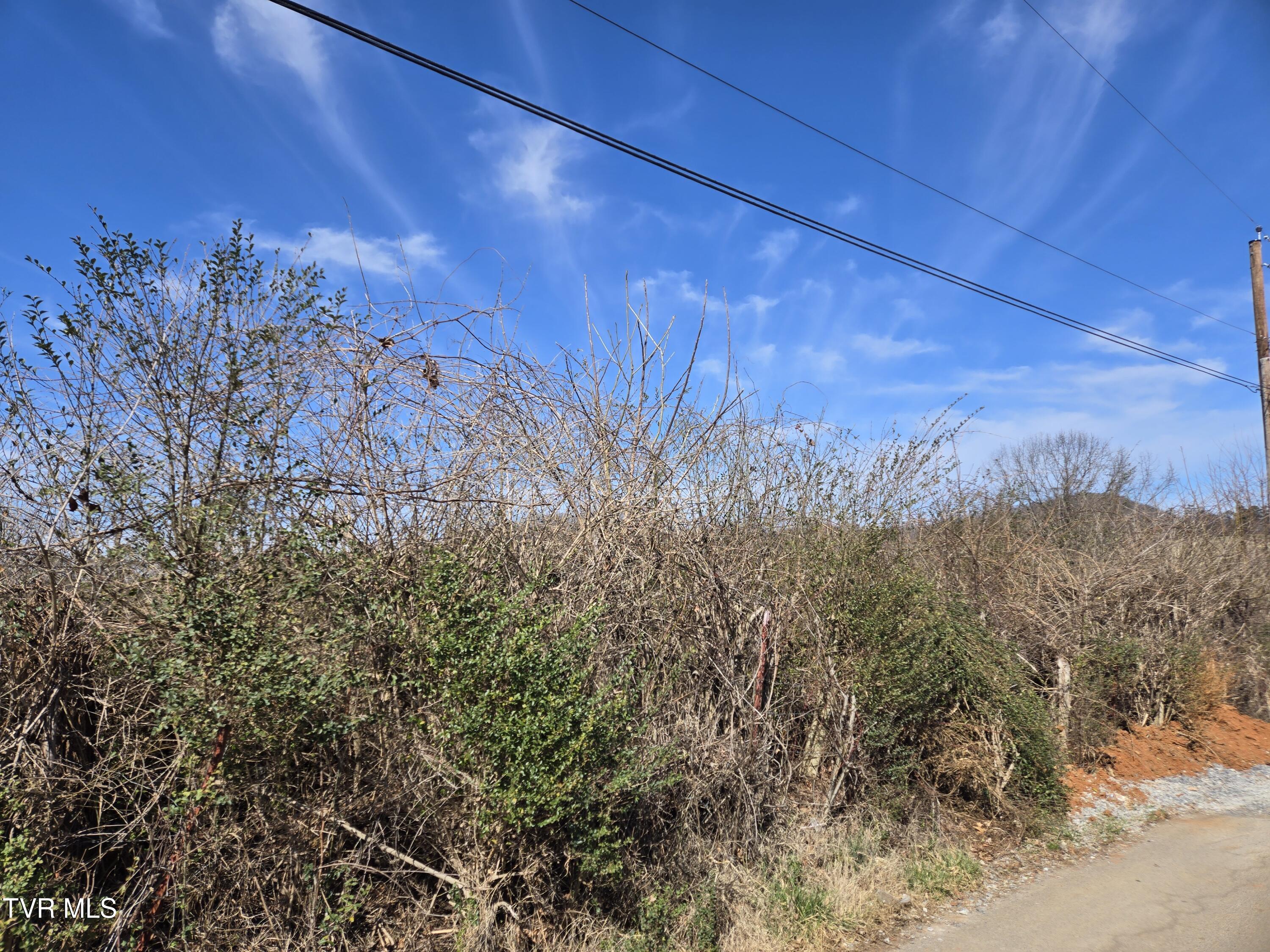 5 Acre Old Lacy Hollow Road, Elizabethton, Tennessee image 29