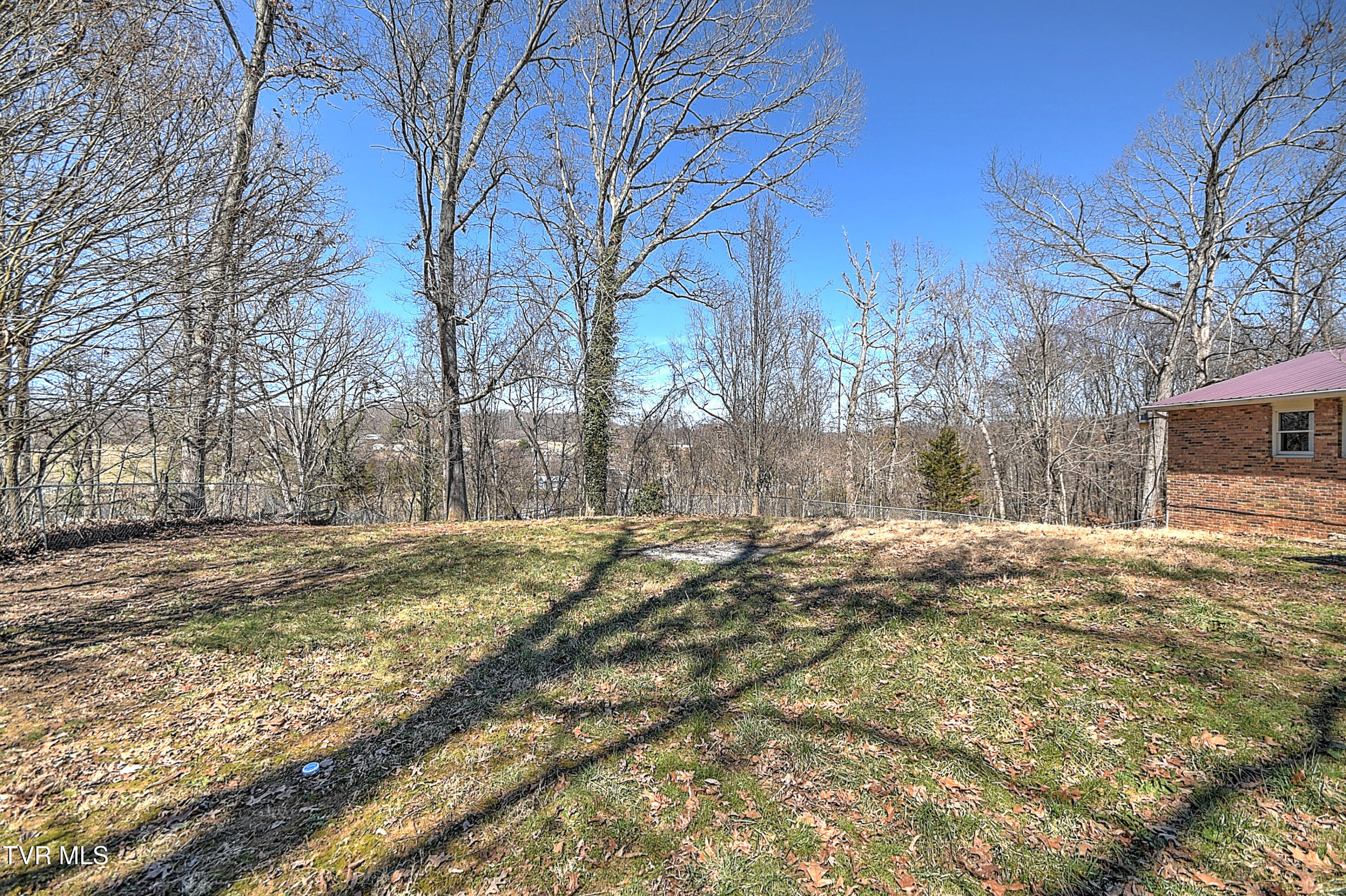 731 Rose Lane, Mount Carmel, Tennessee image 42