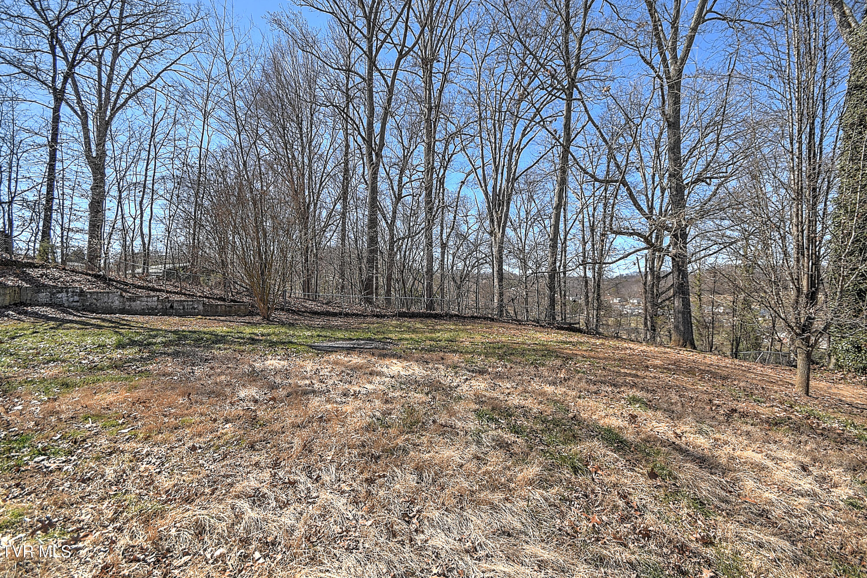 731 Rose Lane, Mount Carmel, Tennessee image 41