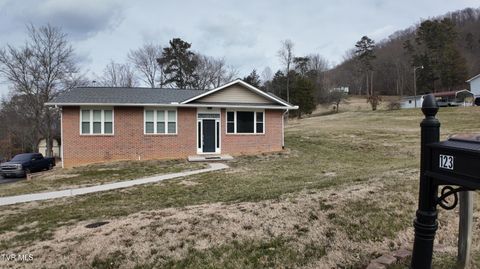 Photo of 123 Valley View Drive, Rogersville, TN 37857 (MLS # 9990599)