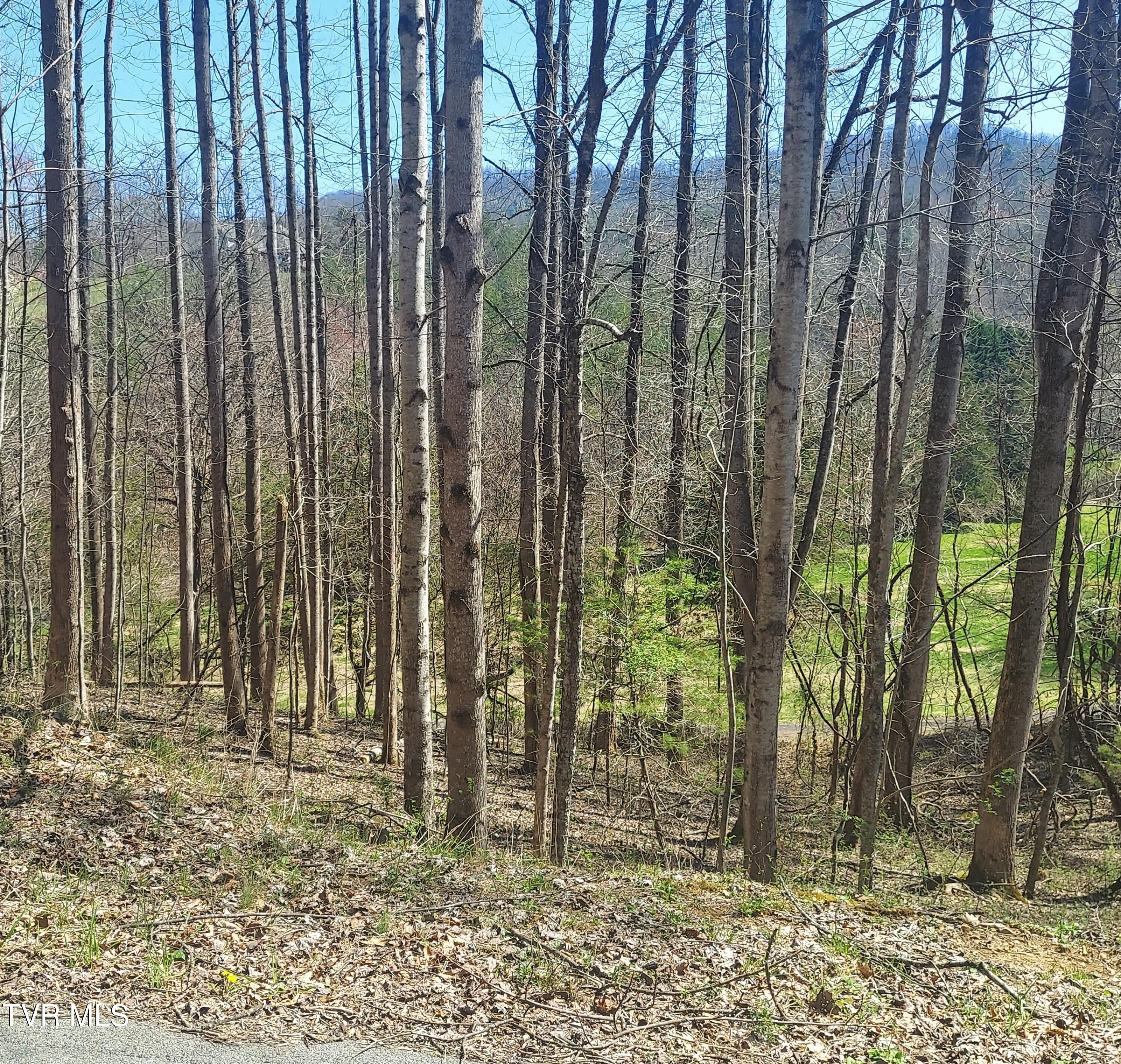 Lot 181 Ox Bow Rd, Unicoi, Tennessee image 2