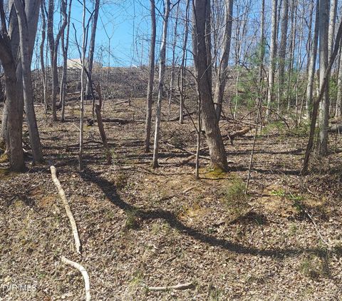 Vacant Land For Sale - LOT 181 Ox Bow Rd<br/> Unicoi County, Unicoi, TN 37692