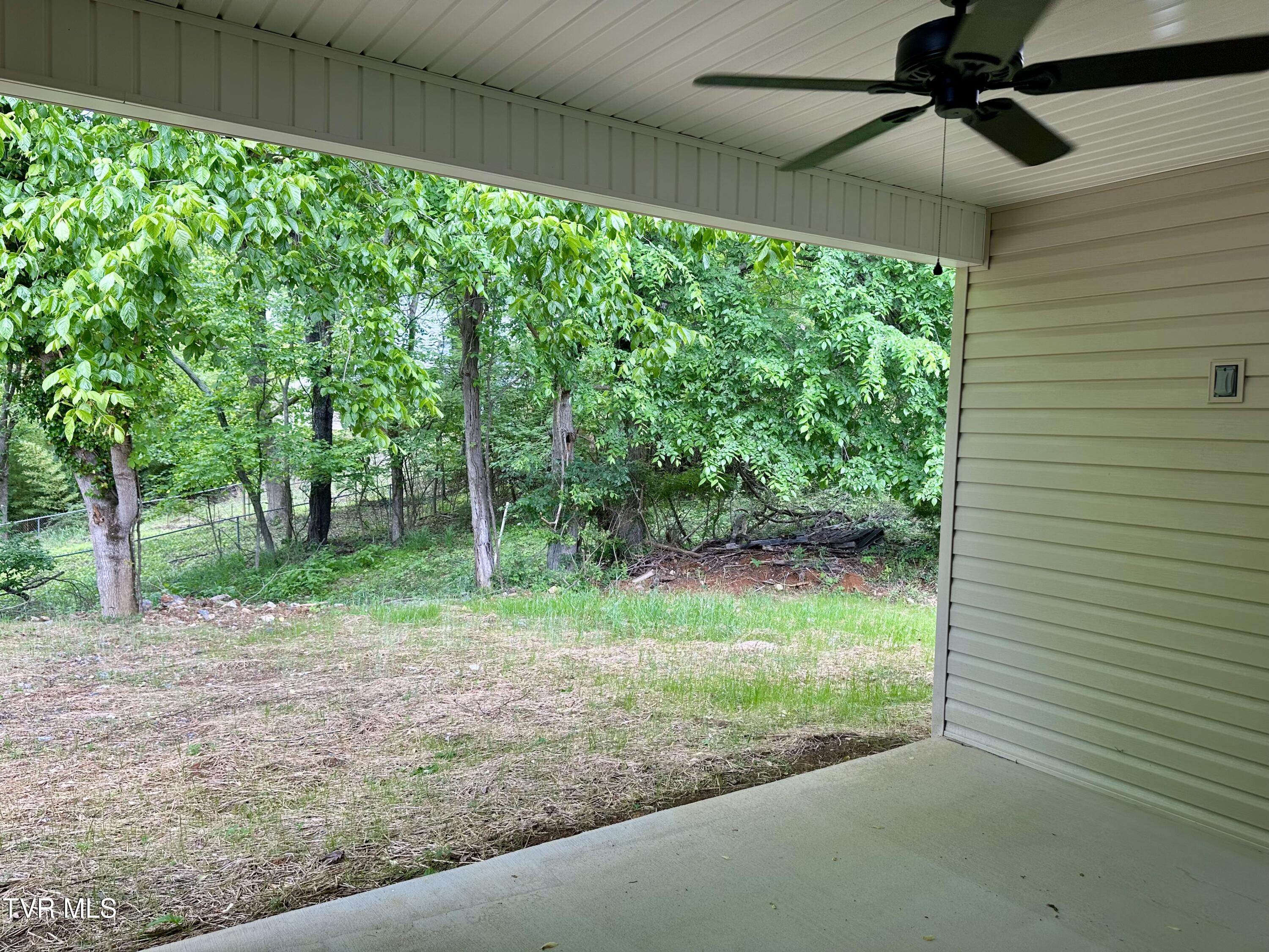 3814 Oakley Place, Kingsport, Tennessee image 6