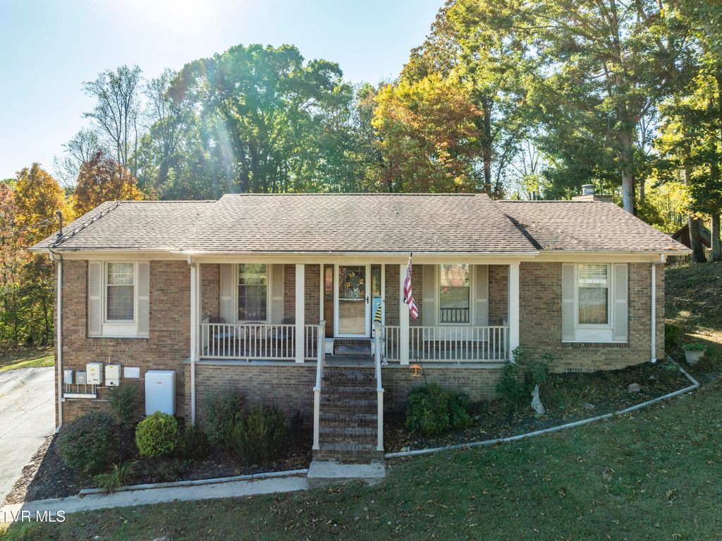 Photo of 607 Dover Avenue, Mount Carmel, TN 37645 (MLS # 9987452)