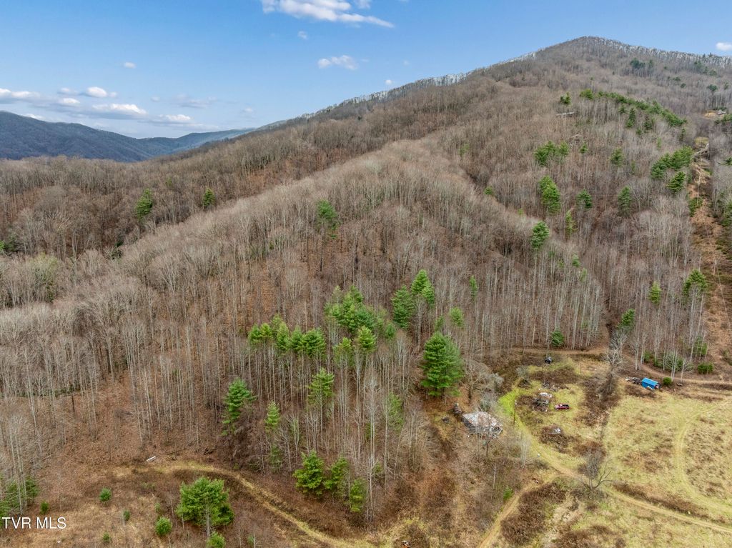 Photo of Tbd Tipton Branch Road, Flag Pond, TN 37657 (MLS # 9993720)