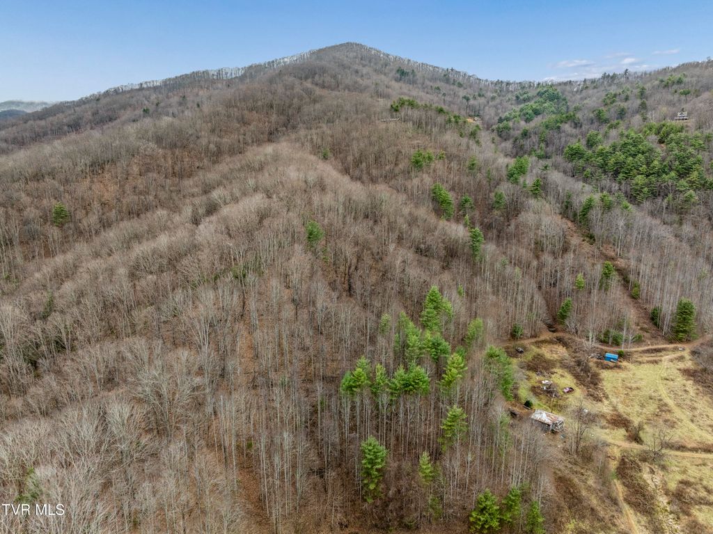 Photo of Tbd Tipton Branch Road, Flag Pond, TN 37657 (MLS # 9993720)
