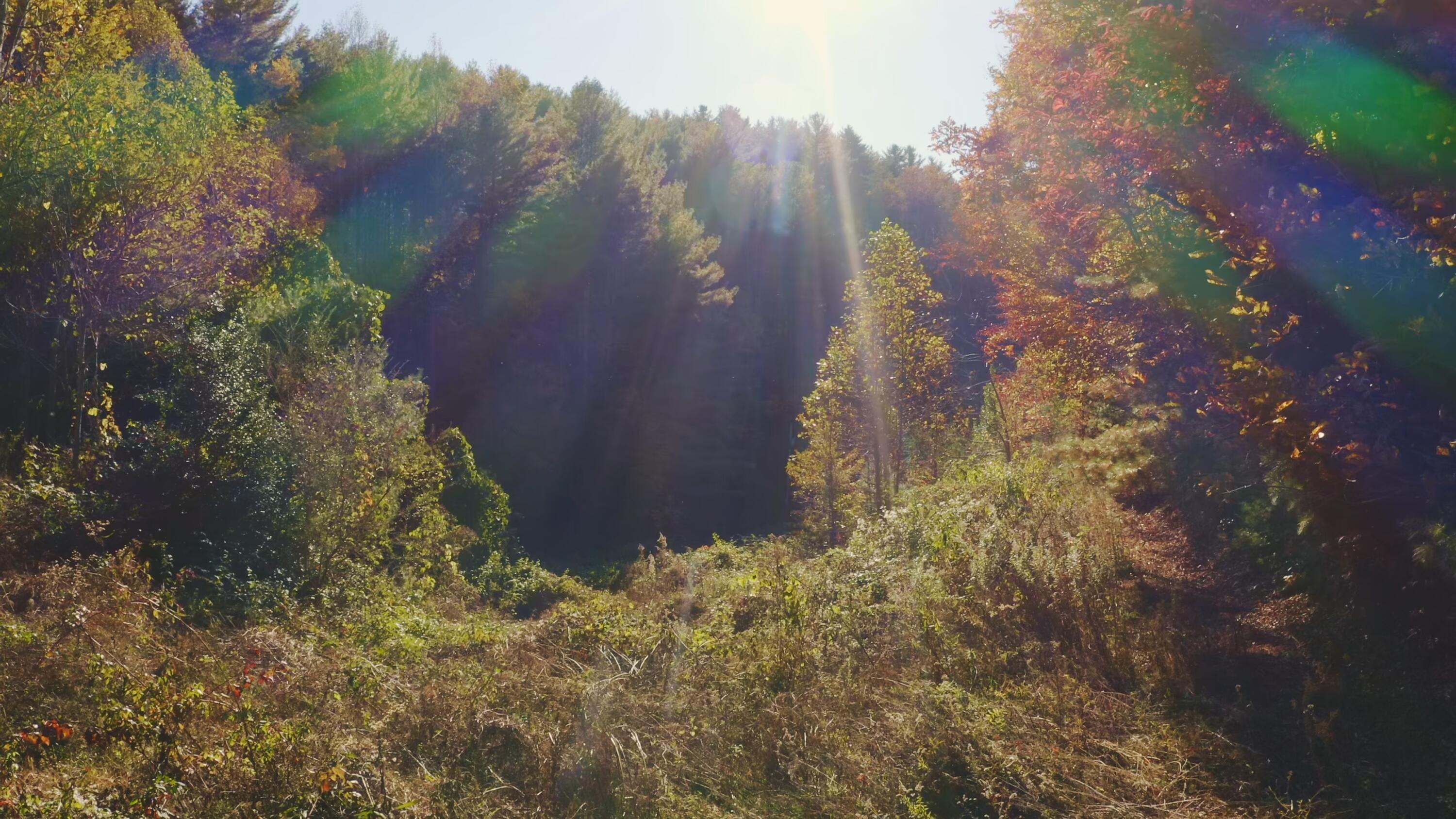 410 Seay Hollow Road