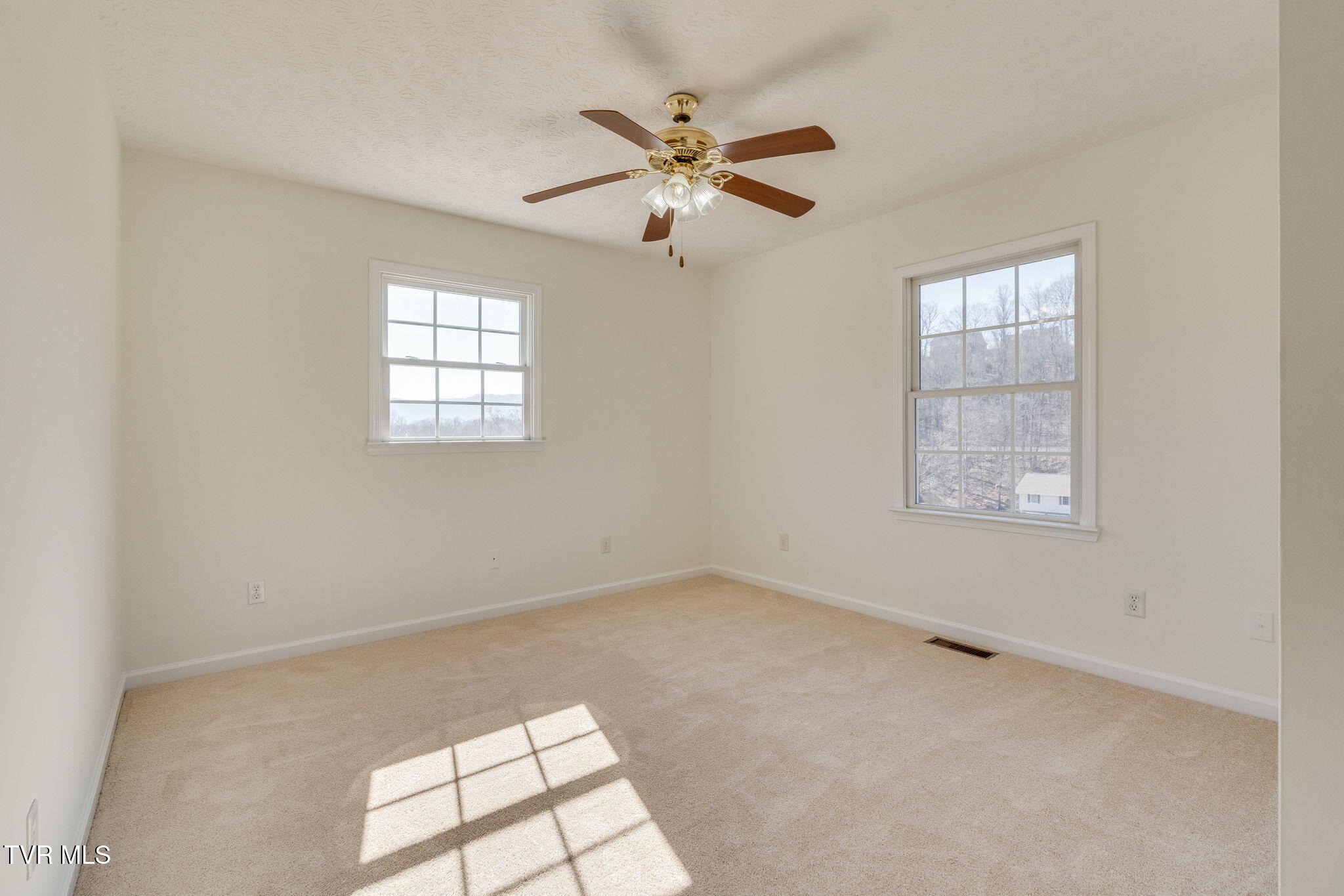 125 Meadow Springs Lane, Mount Carmel, Tennessee image 18