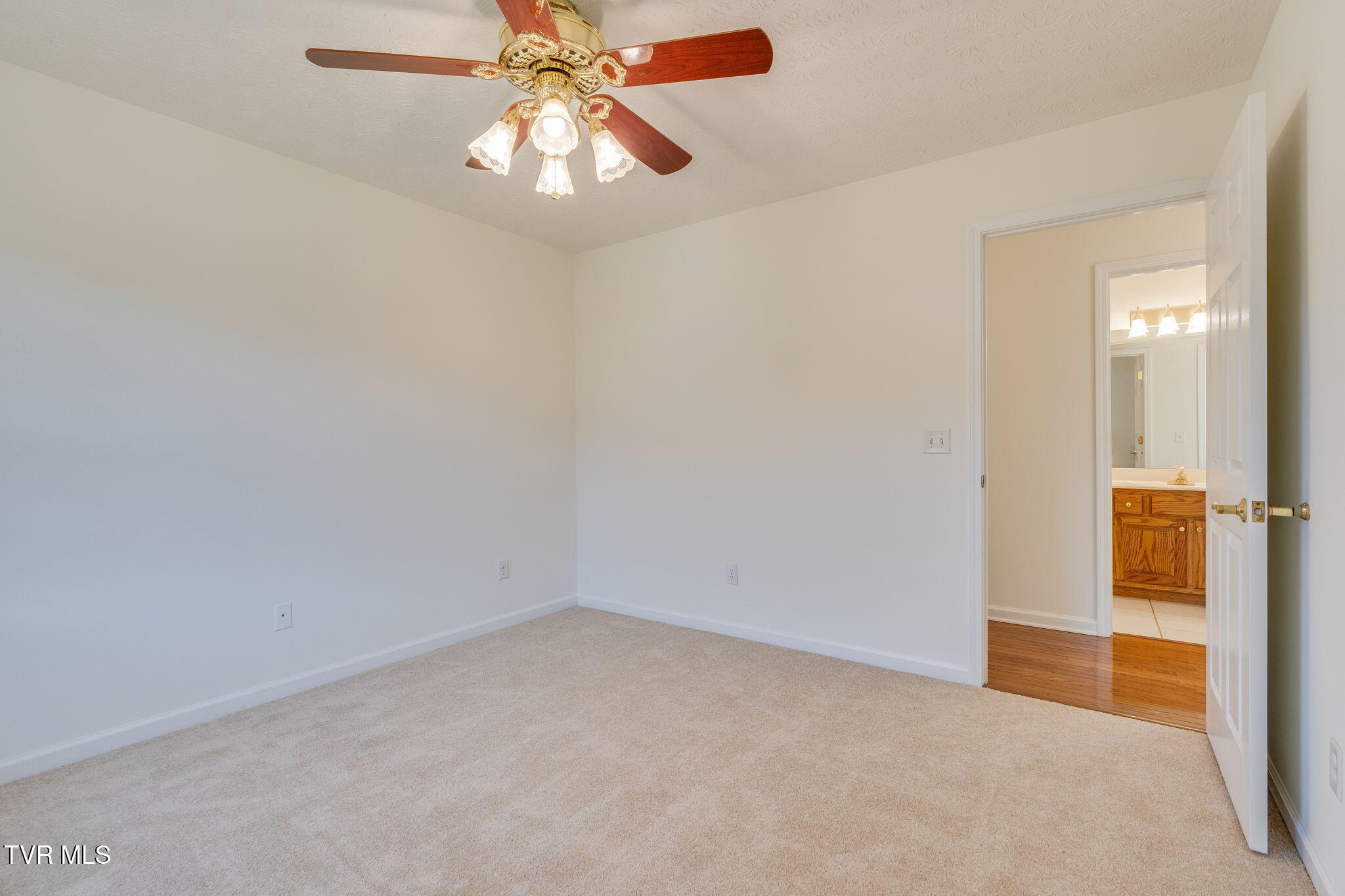 125 Meadow Springs Lane, Mount Carmel, Tennessee image 22