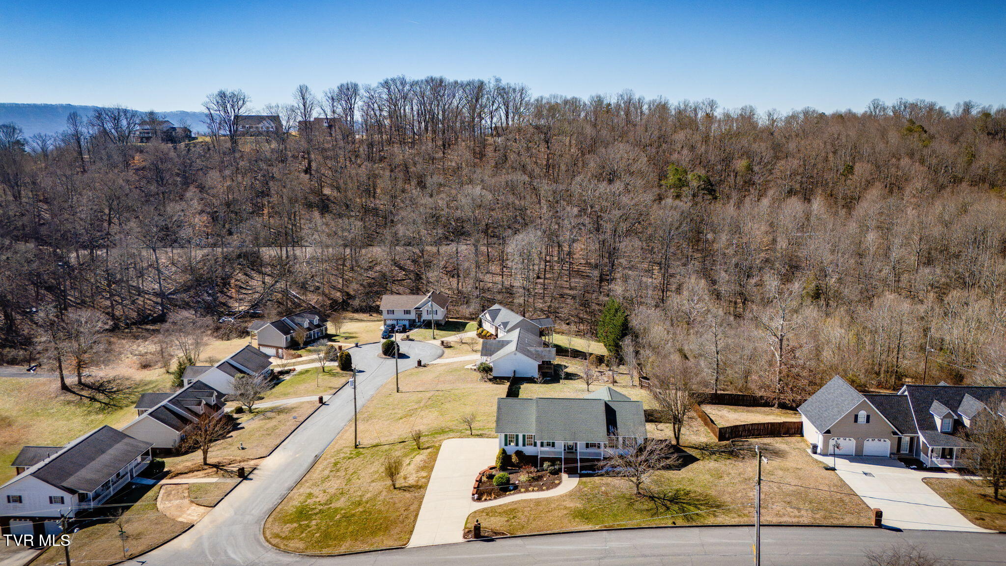 125 Meadow Springs Lane, Mount Carmel, Tennessee image 40