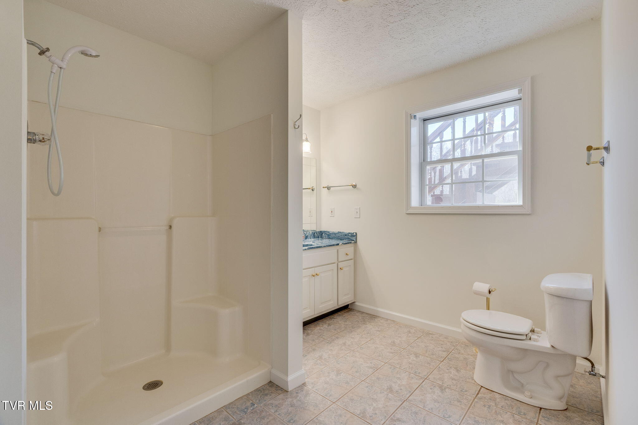 125 Meadow Springs Lane, Mount Carmel, Tennessee image 27