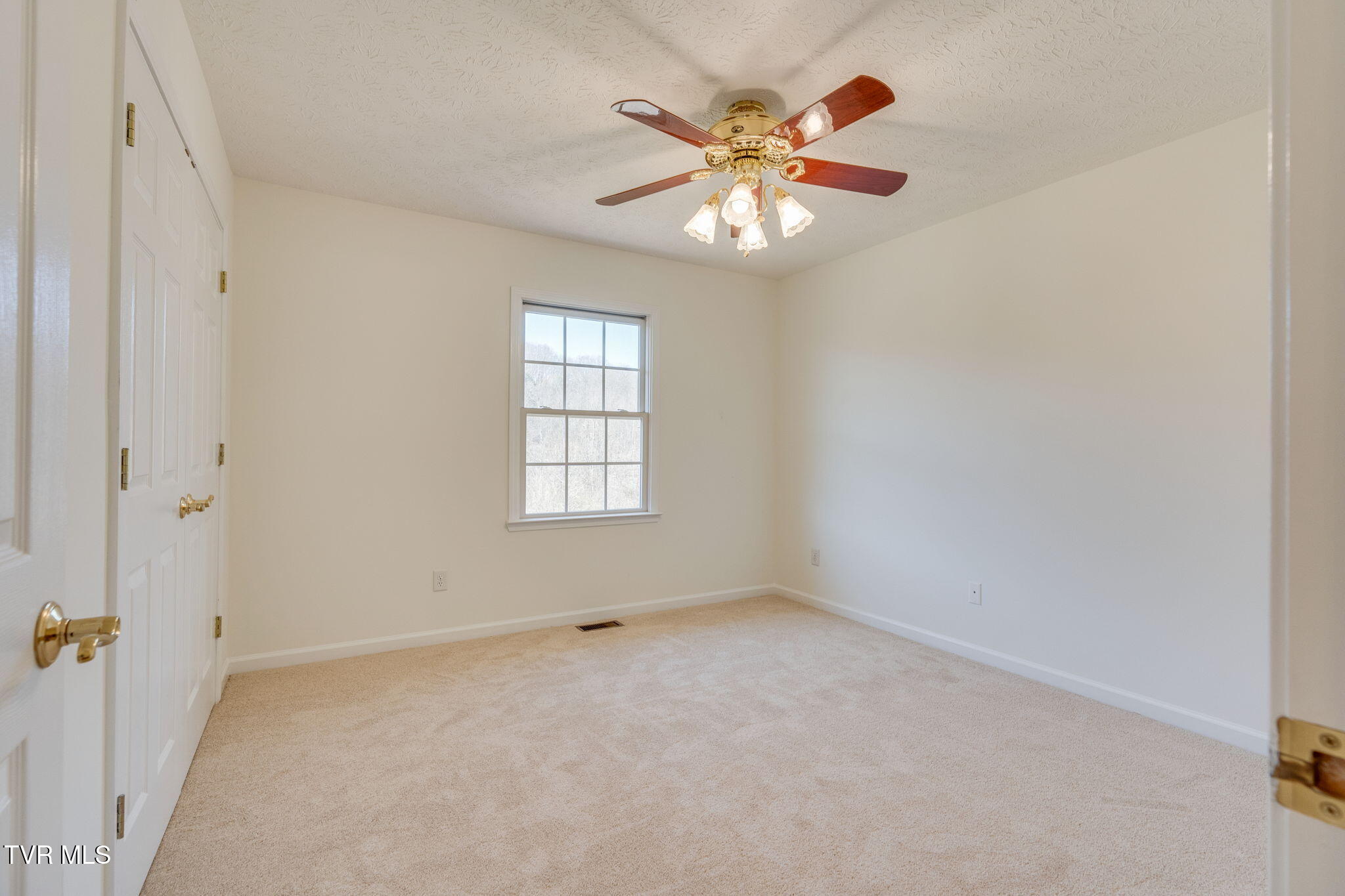 125 Meadow Springs Lane, Mount Carmel, Tennessee image 21