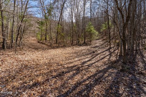 Vacant Land For Sale - LOT 134 Callalantee Course<br/> Johnson County, Mountain City, TN 37683