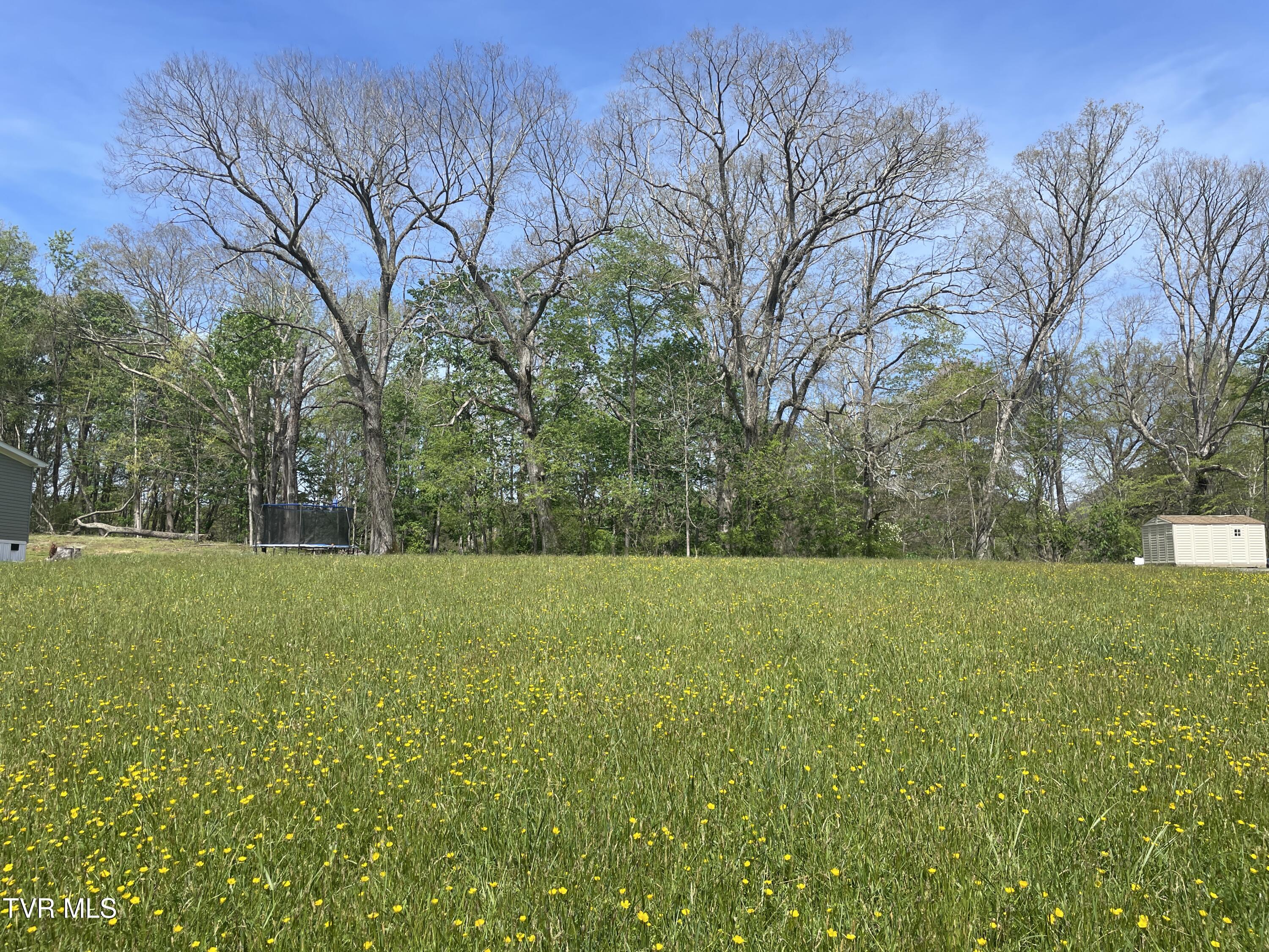 Tbd Daw Road #LOT B, Raven, Virginia image 1