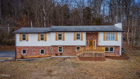 Photo of 621 San Antonio Drive, Bristol, TN 37620 (MLS # 9990691)
