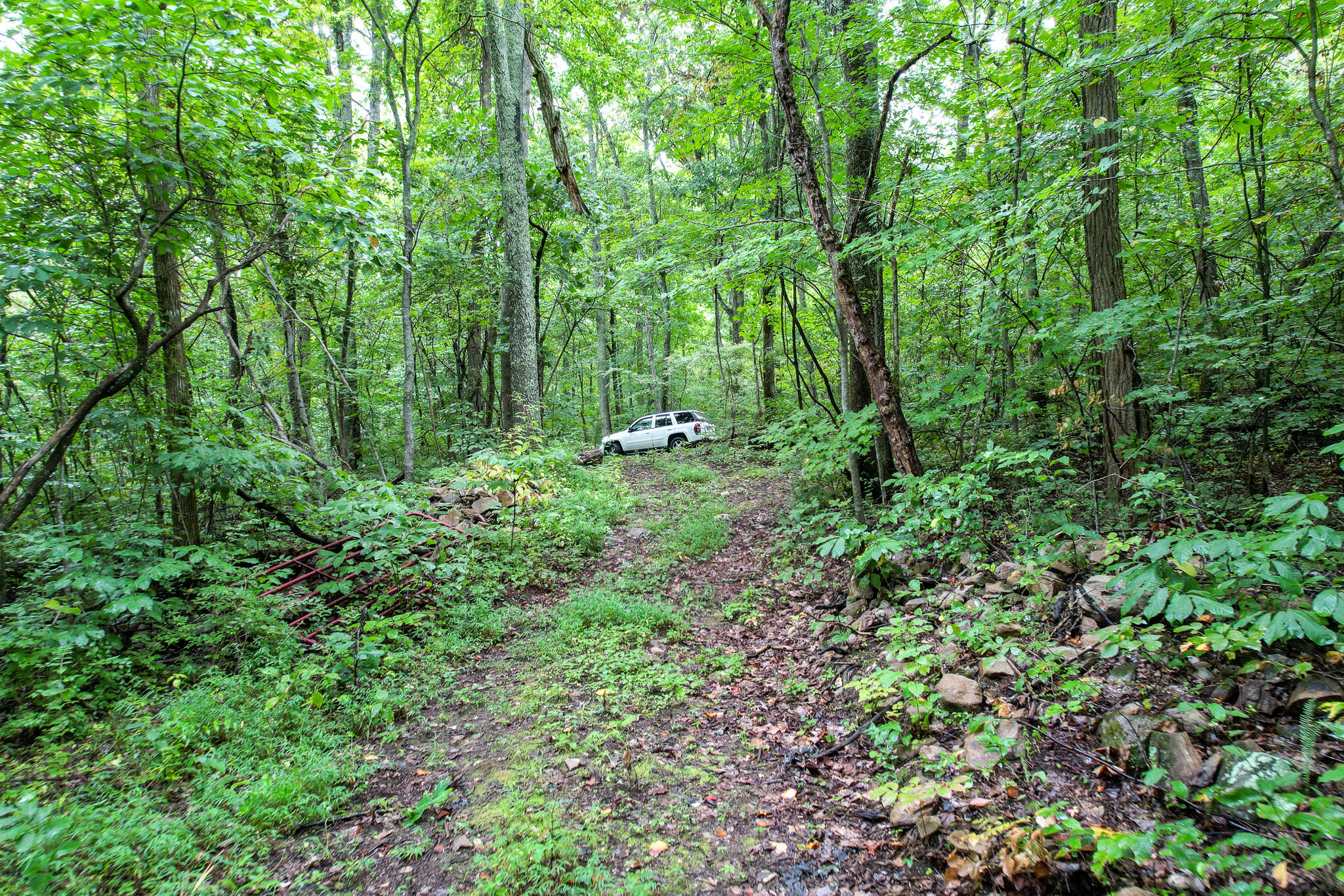 3684 Collier Loop, Dandridge, Tennessee image 15