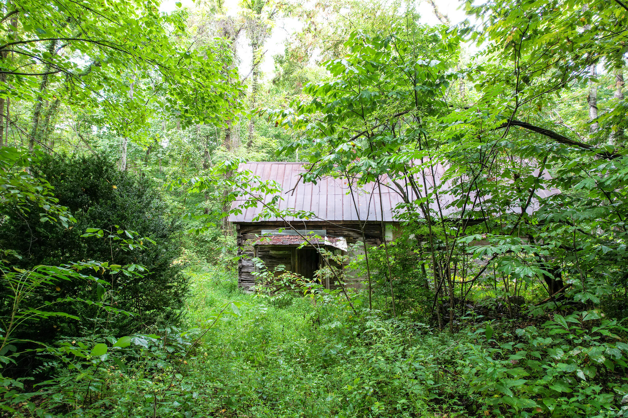 3684 Collier Loop, Dandridge, Tennessee image 21