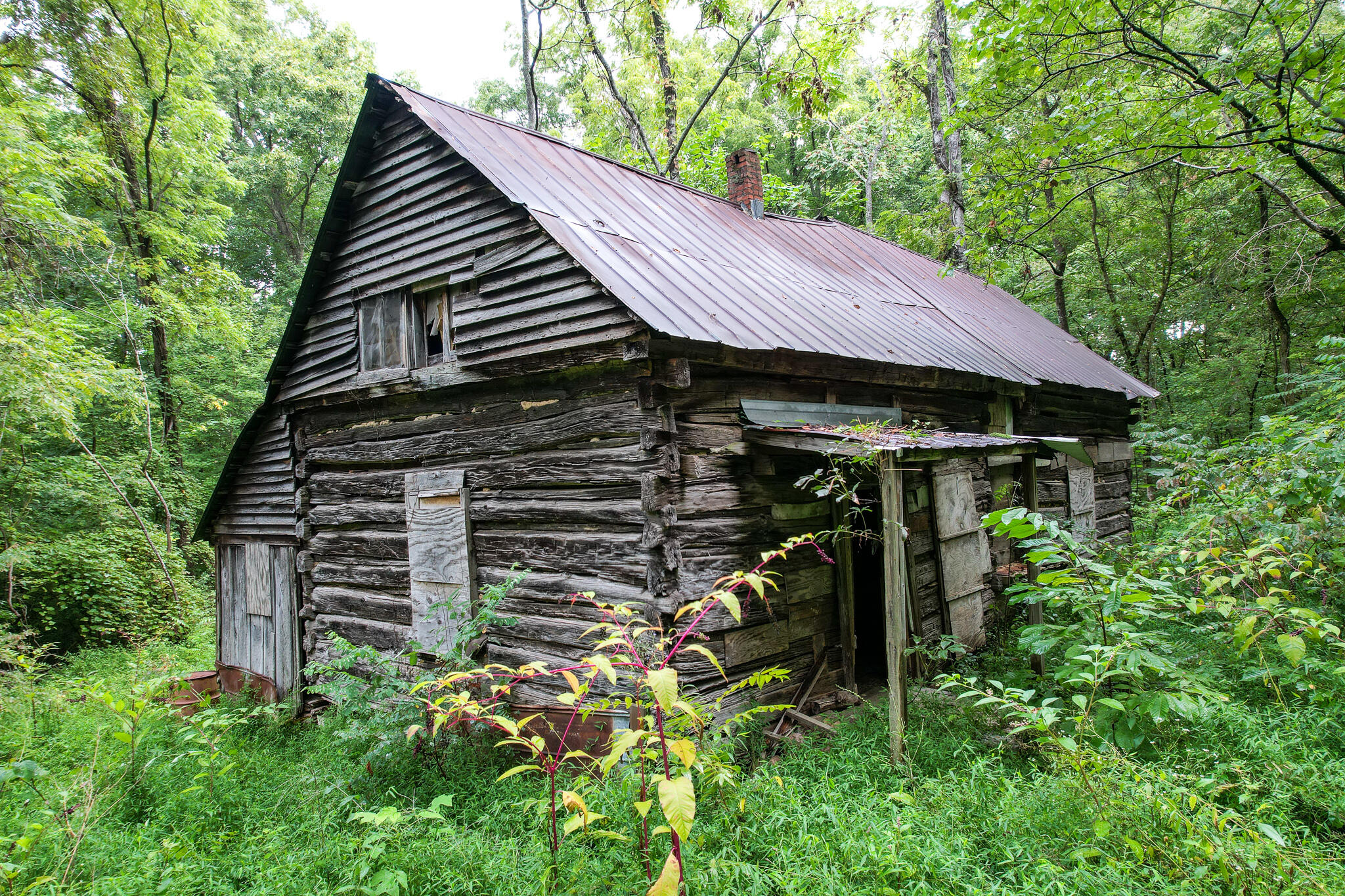 3684 Collier Loop, Dandridge, Tennessee image 17