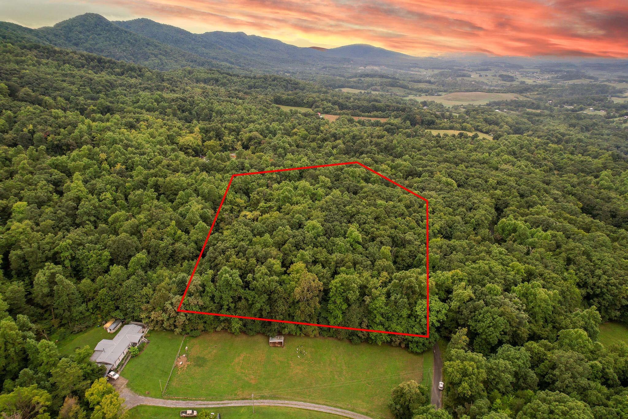 3684 Collier Loop, Dandridge, Tennessee image 1