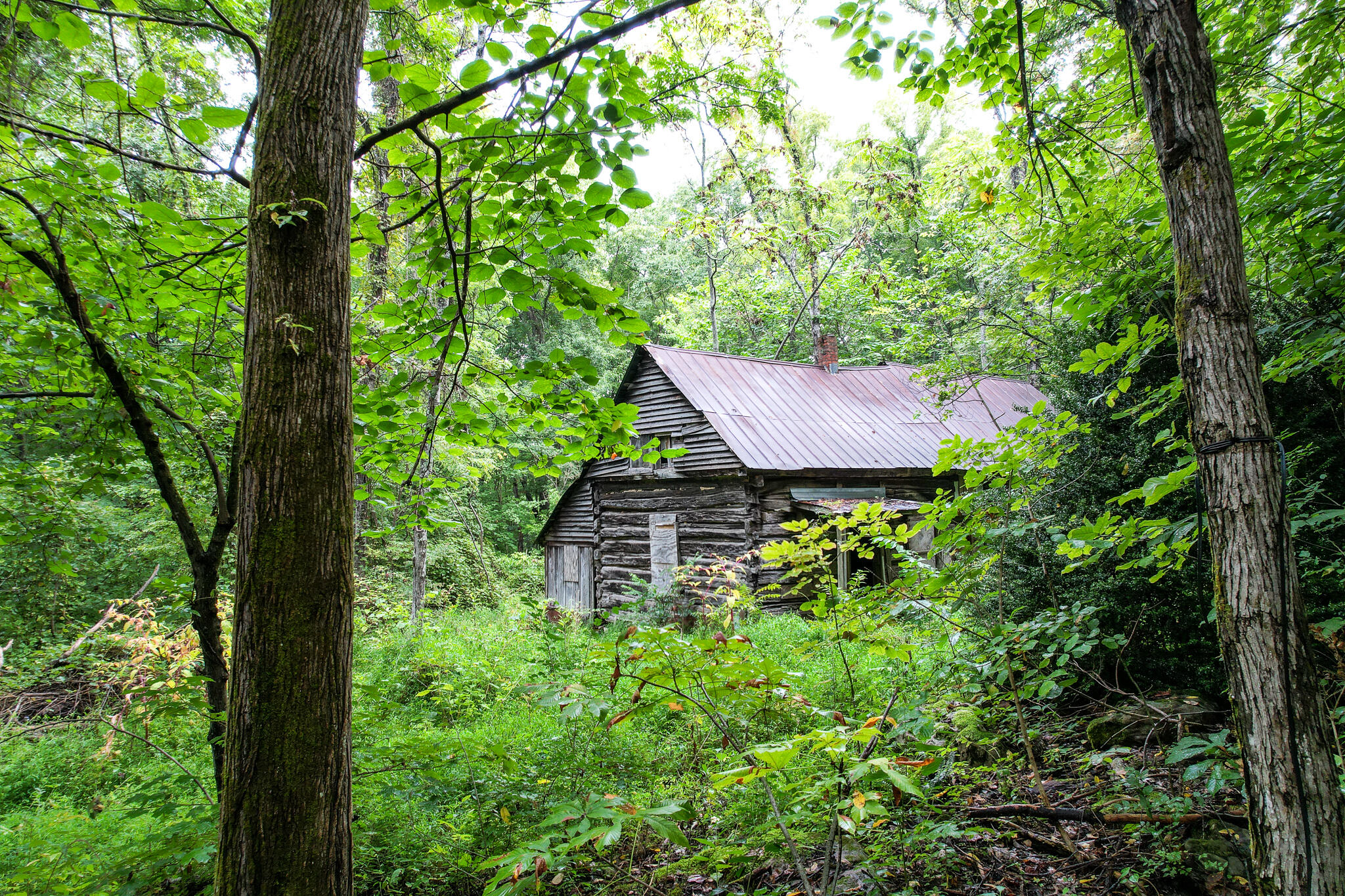3684 Collier Loop, Dandridge, Tennessee image 14