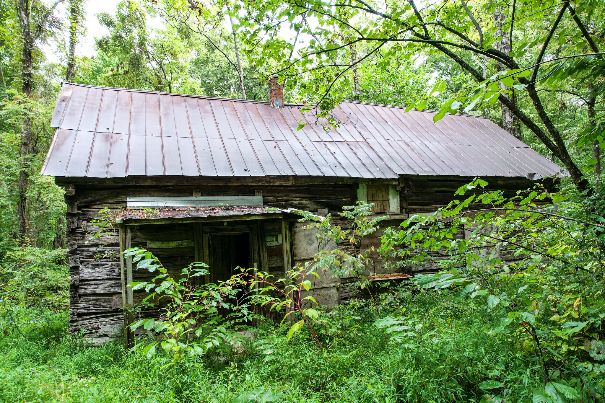 3684 Collier Loop, Dandridge, Tennessee image 16