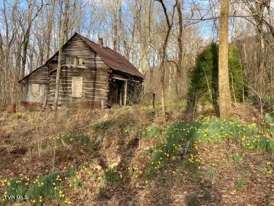 3684 Collier Loop, Dandridge, Tennessee image 3
