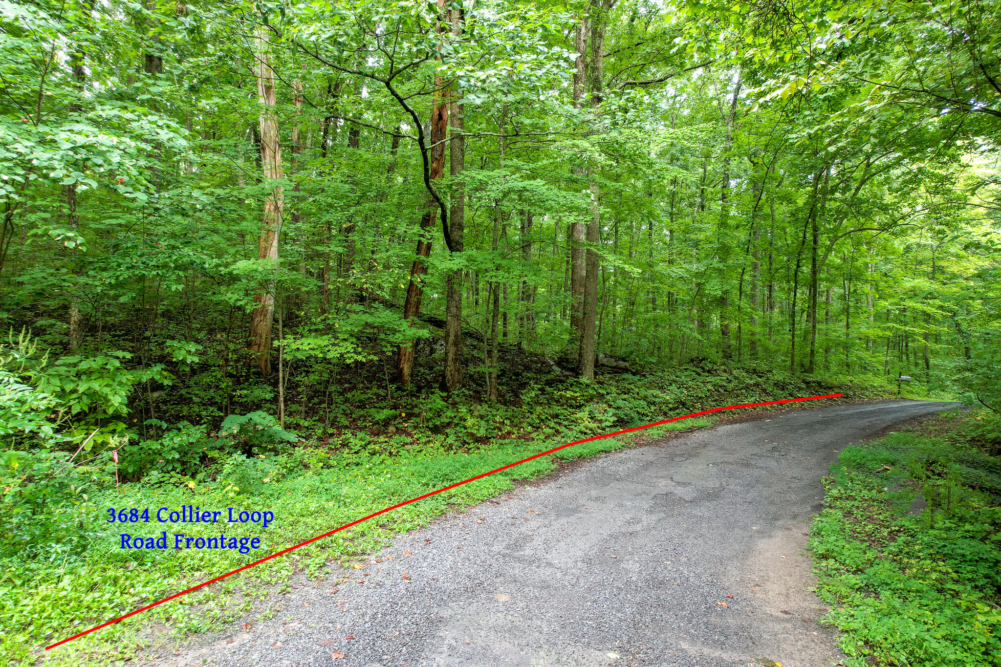 3684 Collier Loop, Dandridge, Tennessee image 2